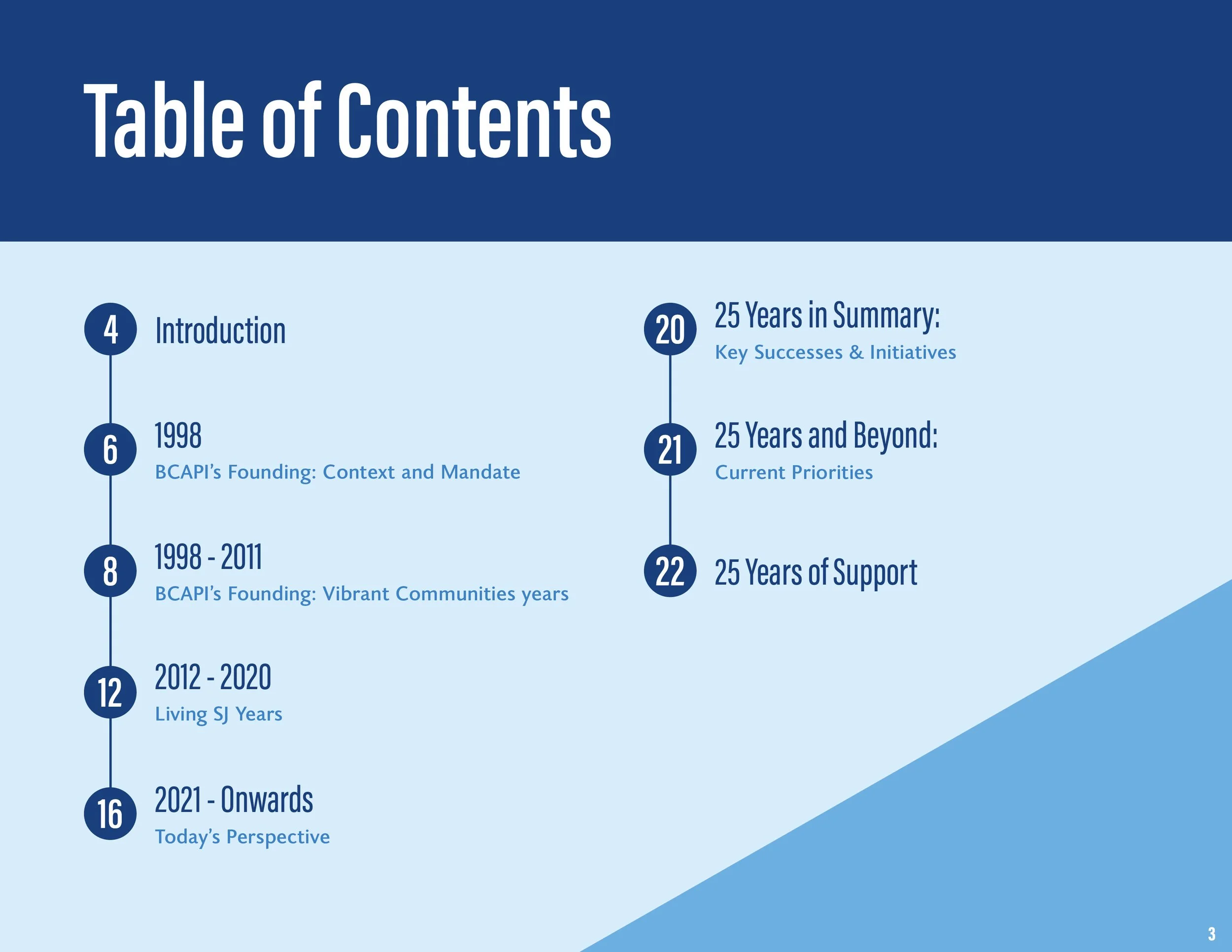 BCAPI Impact Report 2023_web3.jpg