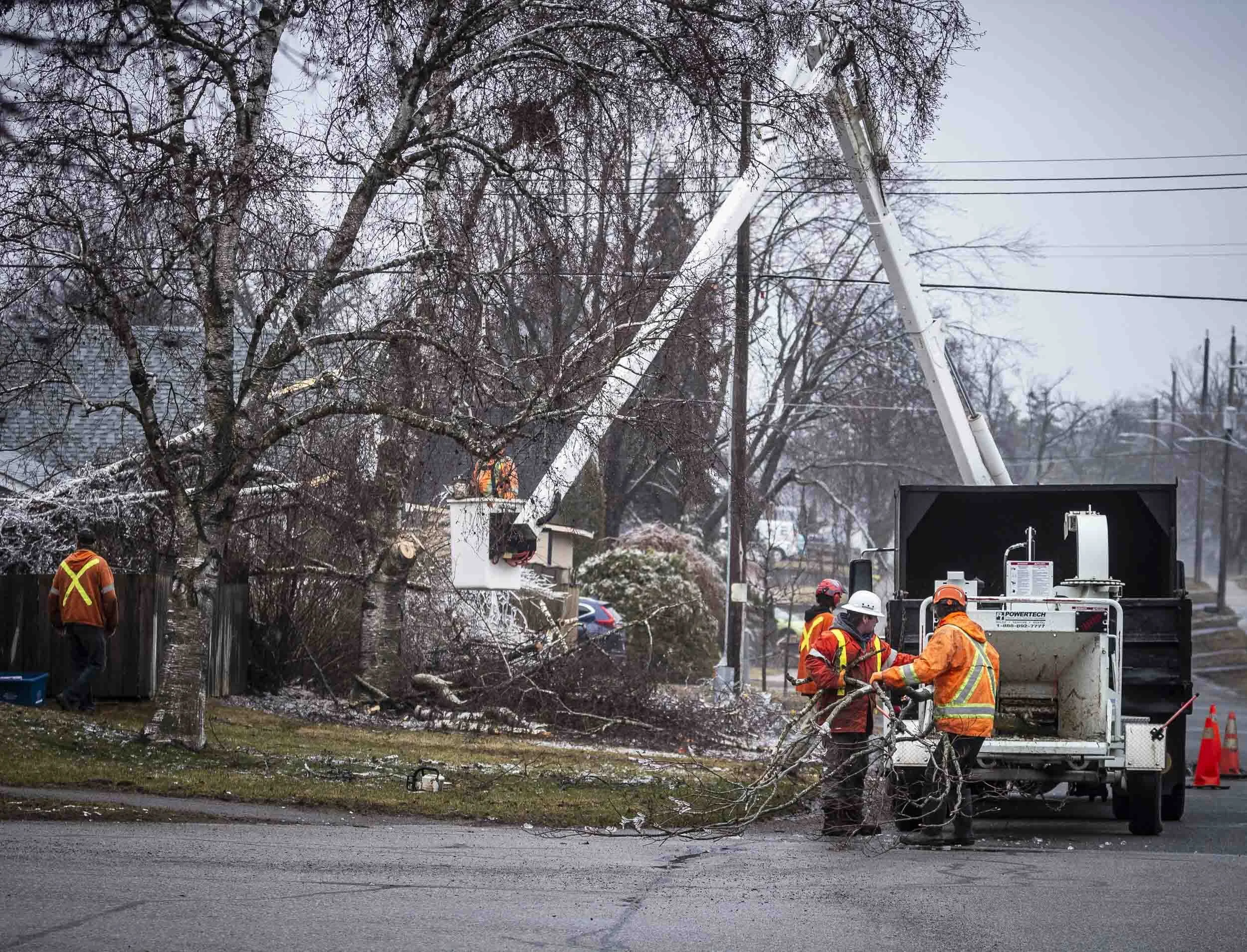 Workers repair fallen tree and damaged power lines on a residential street in winter.
