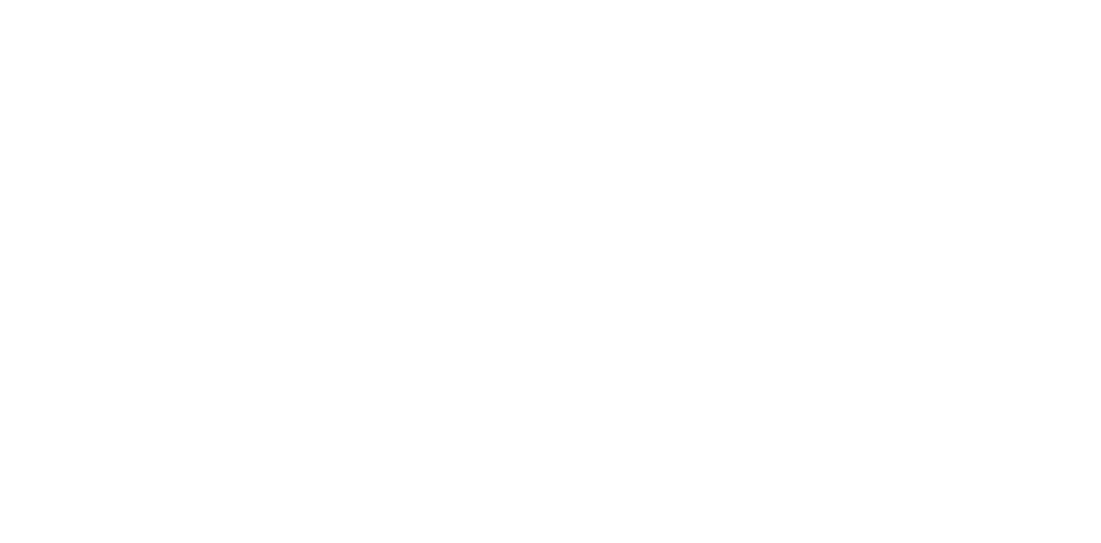 JOANNE SHIN