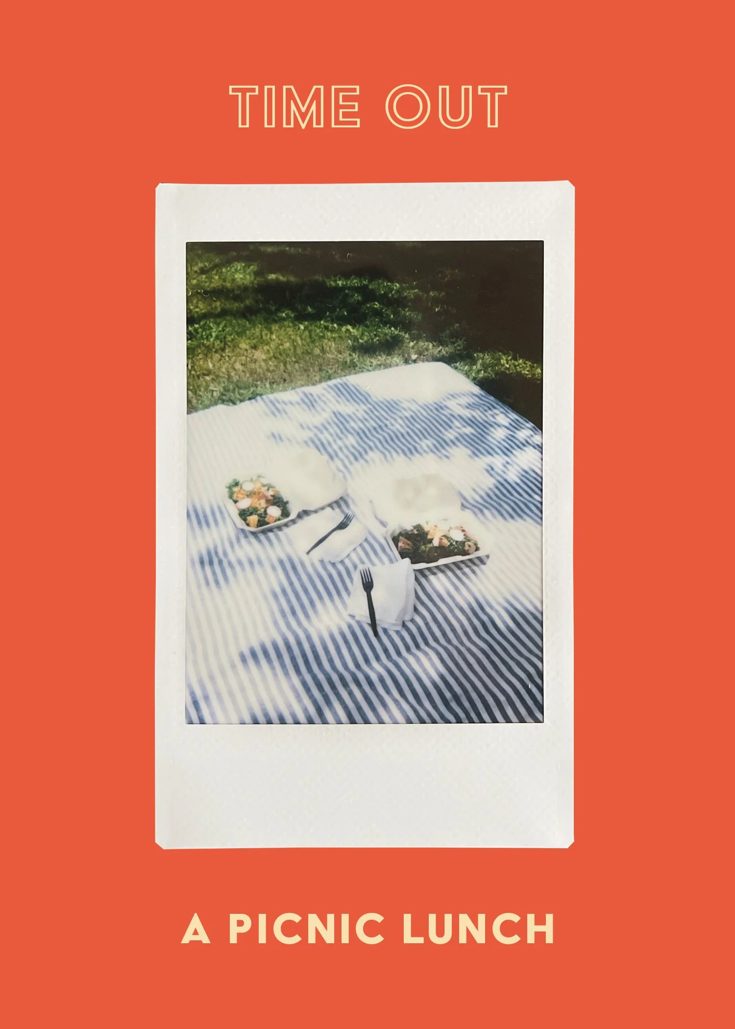 A Picnic Lunch