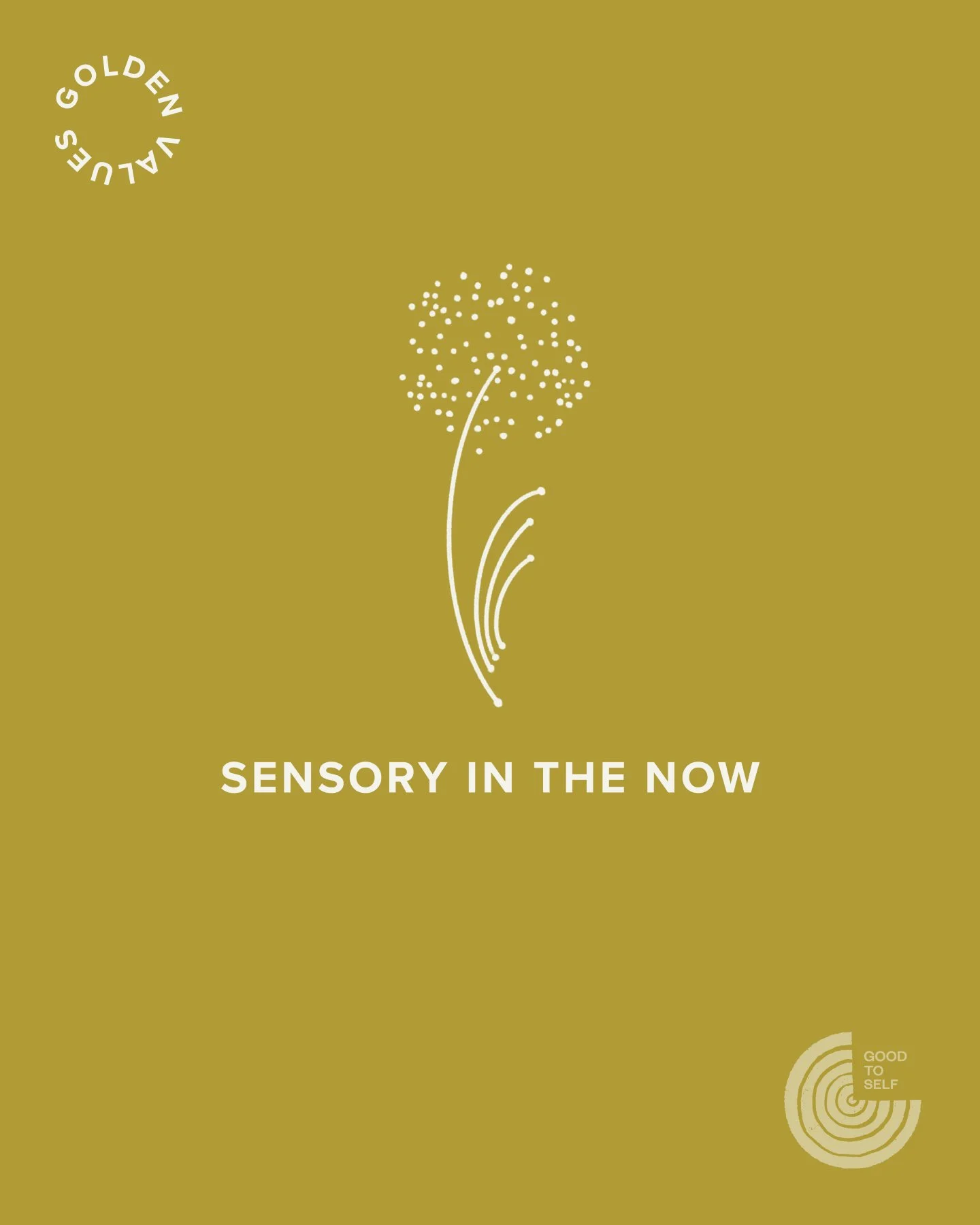 Our senses serve a purpose. They not only ground us but also serve as gateways to awe-inspiring moments and gifts of gratitude. In our fast-paced lives, we often miss out on the many simple wonders of life 🍁
The serendipitous marvels found in nature