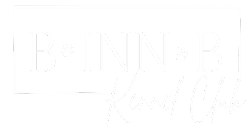 Our Staff — B inn B