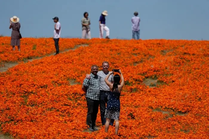 Pharma and the Direct-to-Patient Superbloom