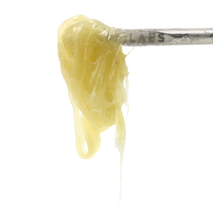 SUNSHINE LIVE ROSIN visual data 3