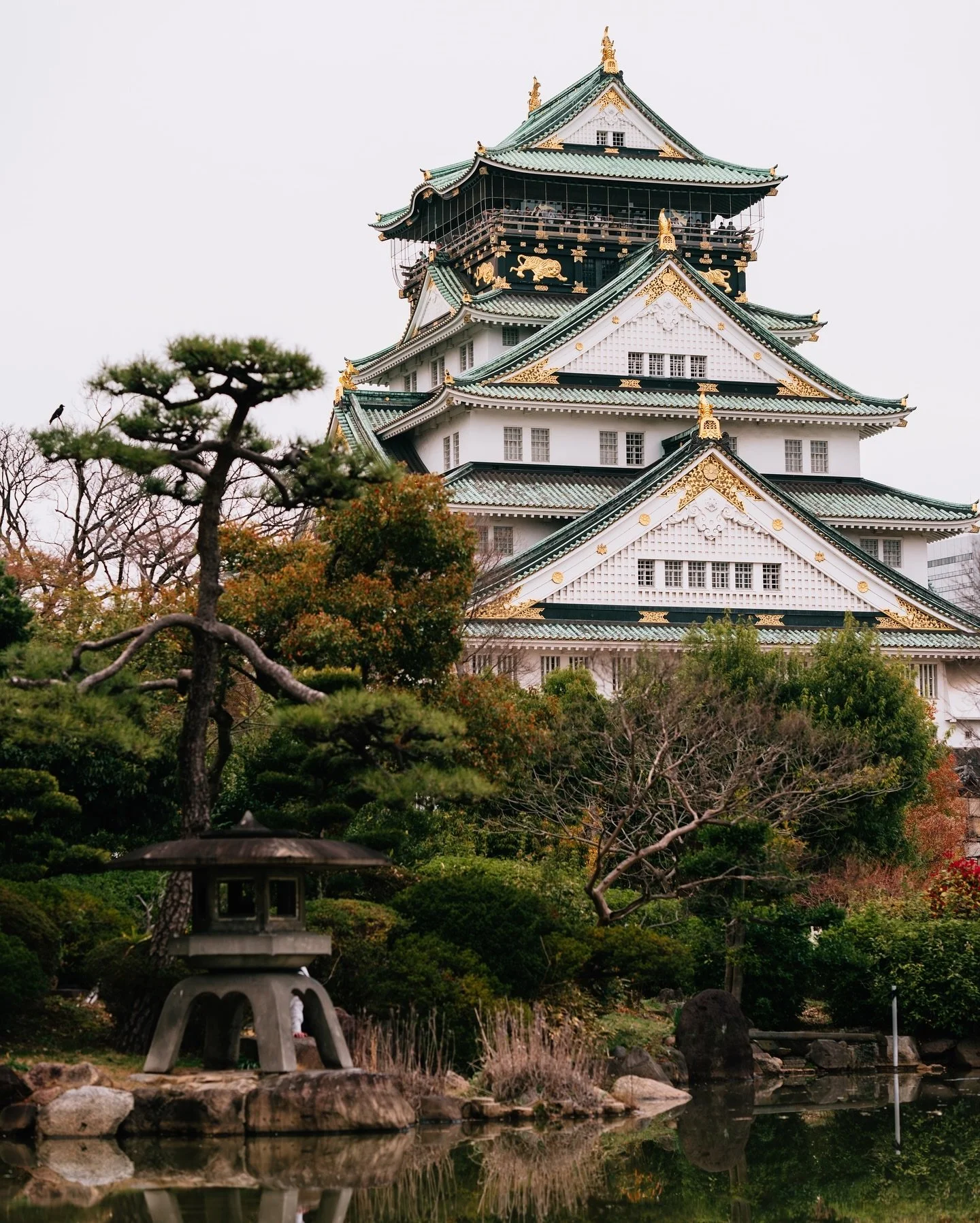 Afternoon stroll around the Osaka Castle and the surrounding gardens 🏯