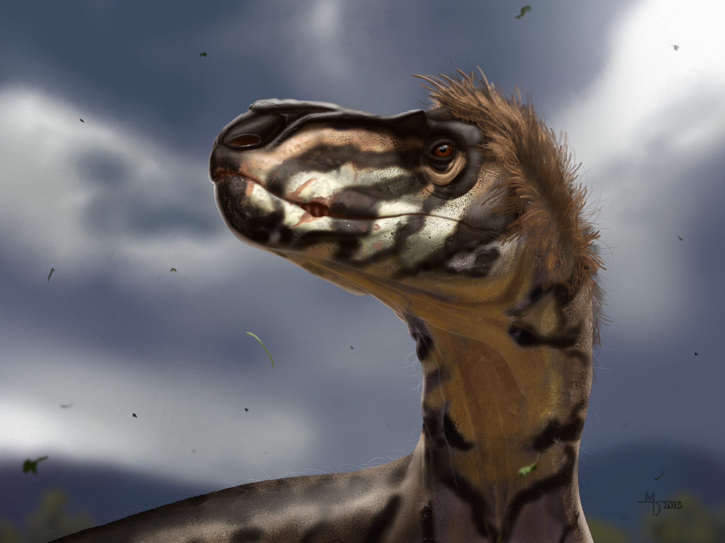 Nanotyrannus_lancensis 3.png