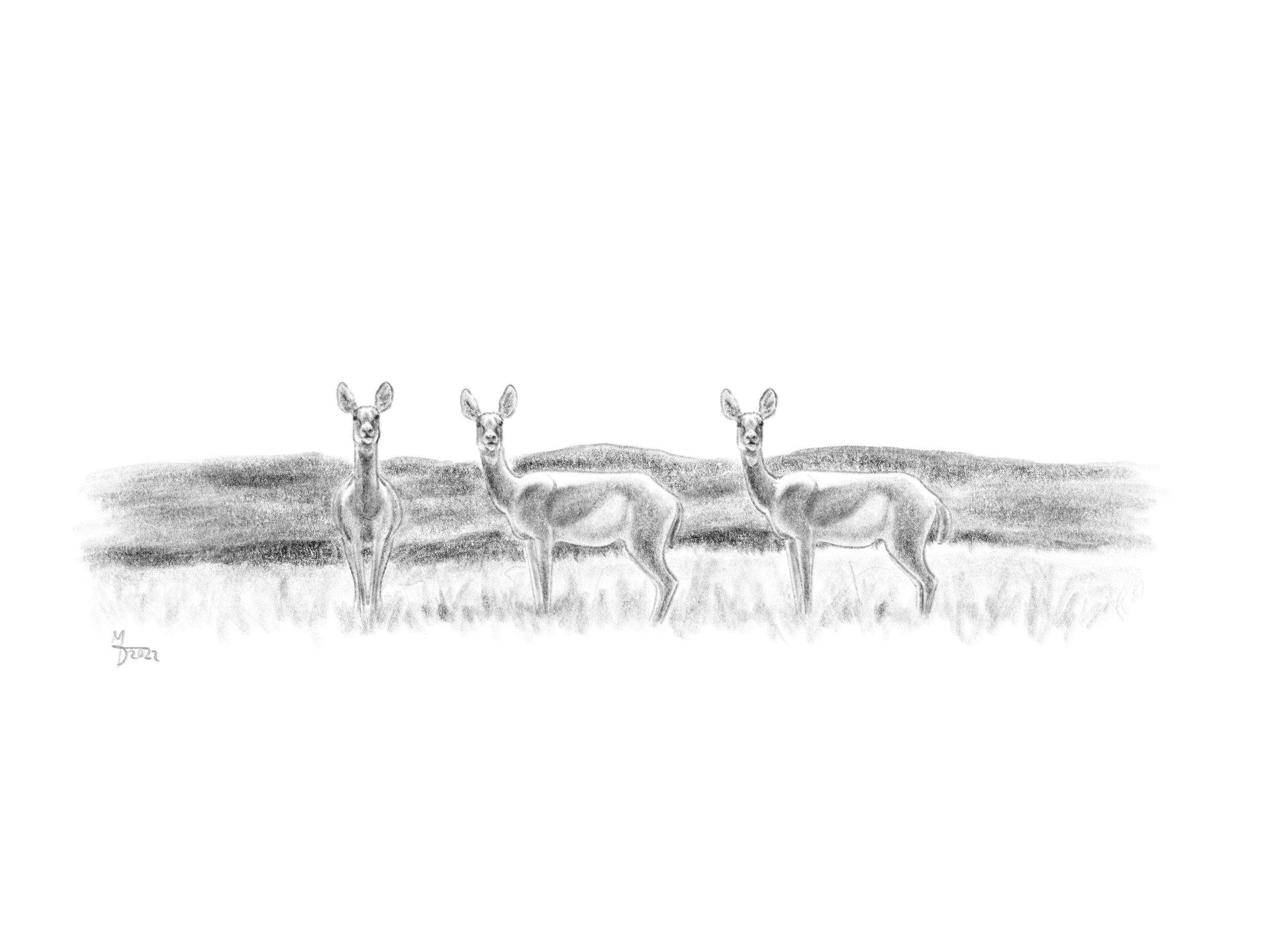 “Stenomylus Sketch”
Forgotten Bloodlines: Agate Concept Art
2022