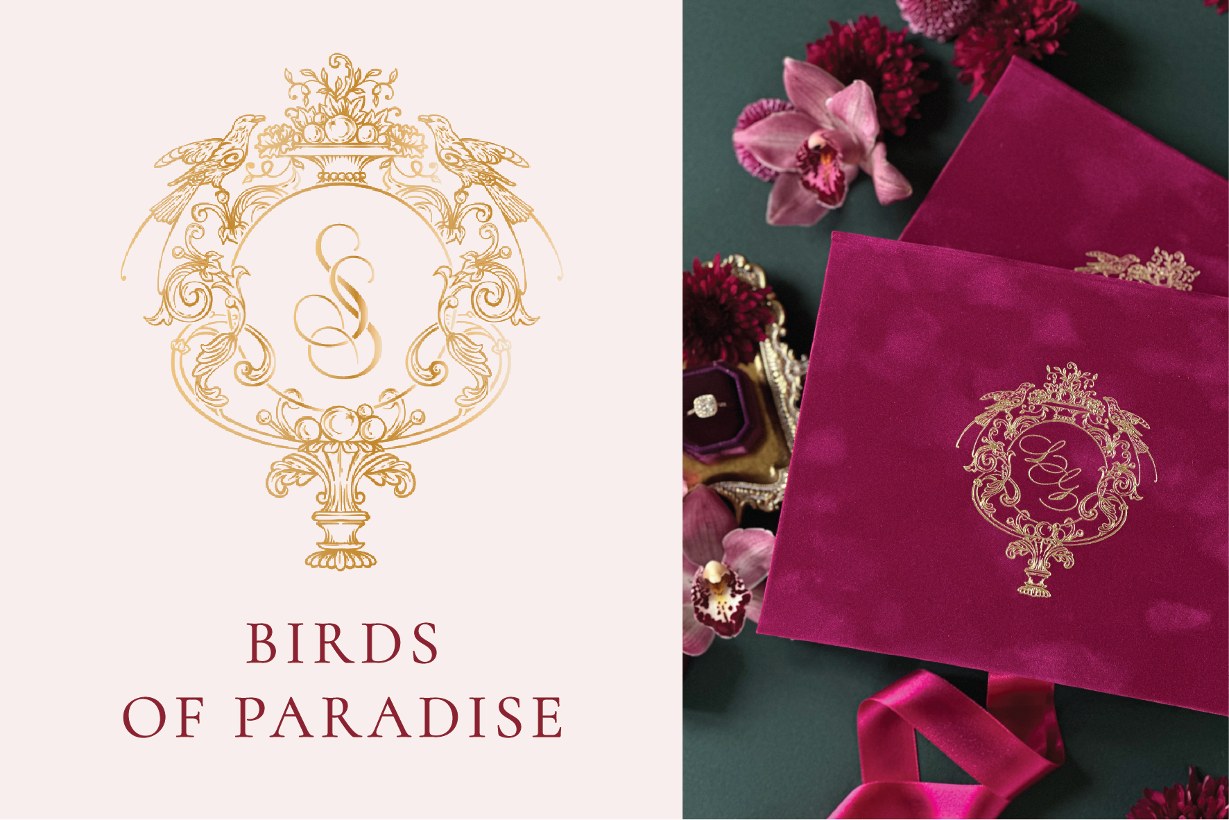 Birds of Paradise