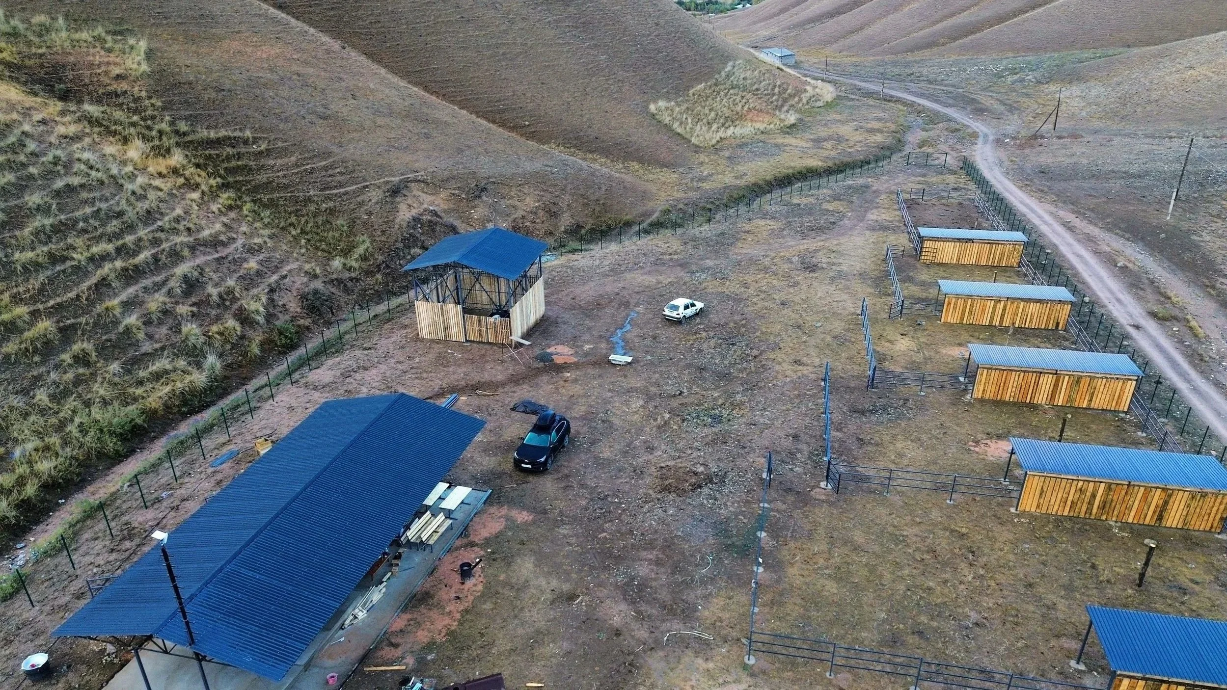 Chaar Ranch — a place where a rare Central Asian horse is being reborn
