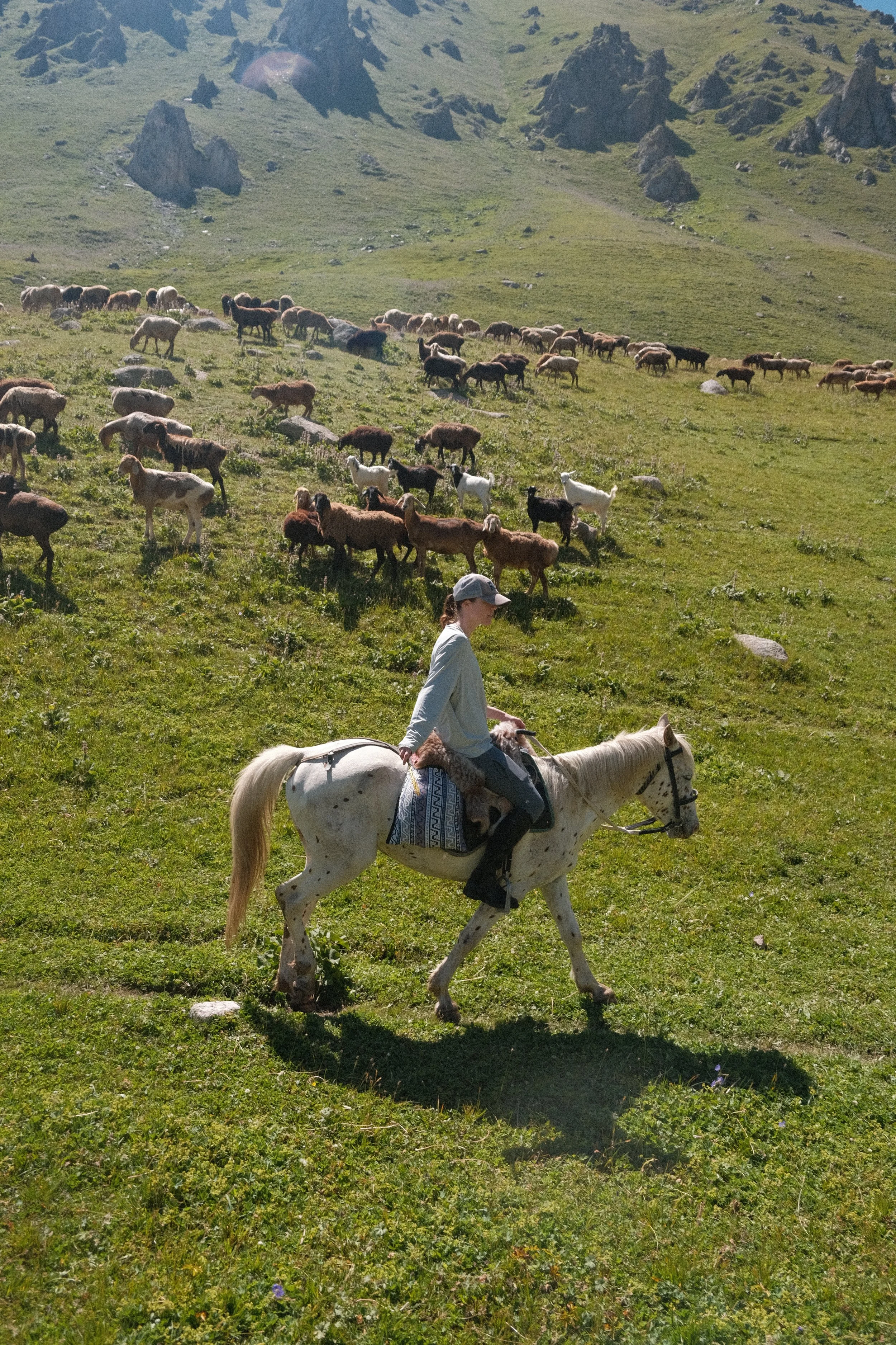 DSCF6265.JPG