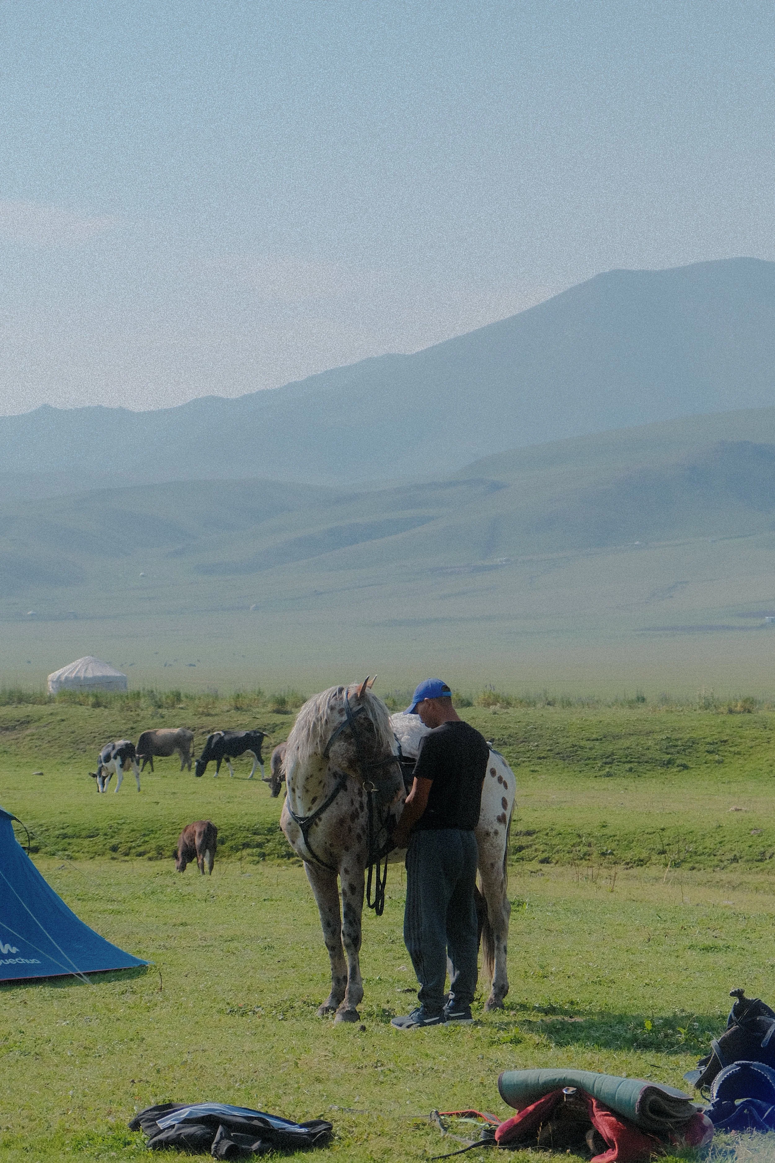 DSCF7145.jpg