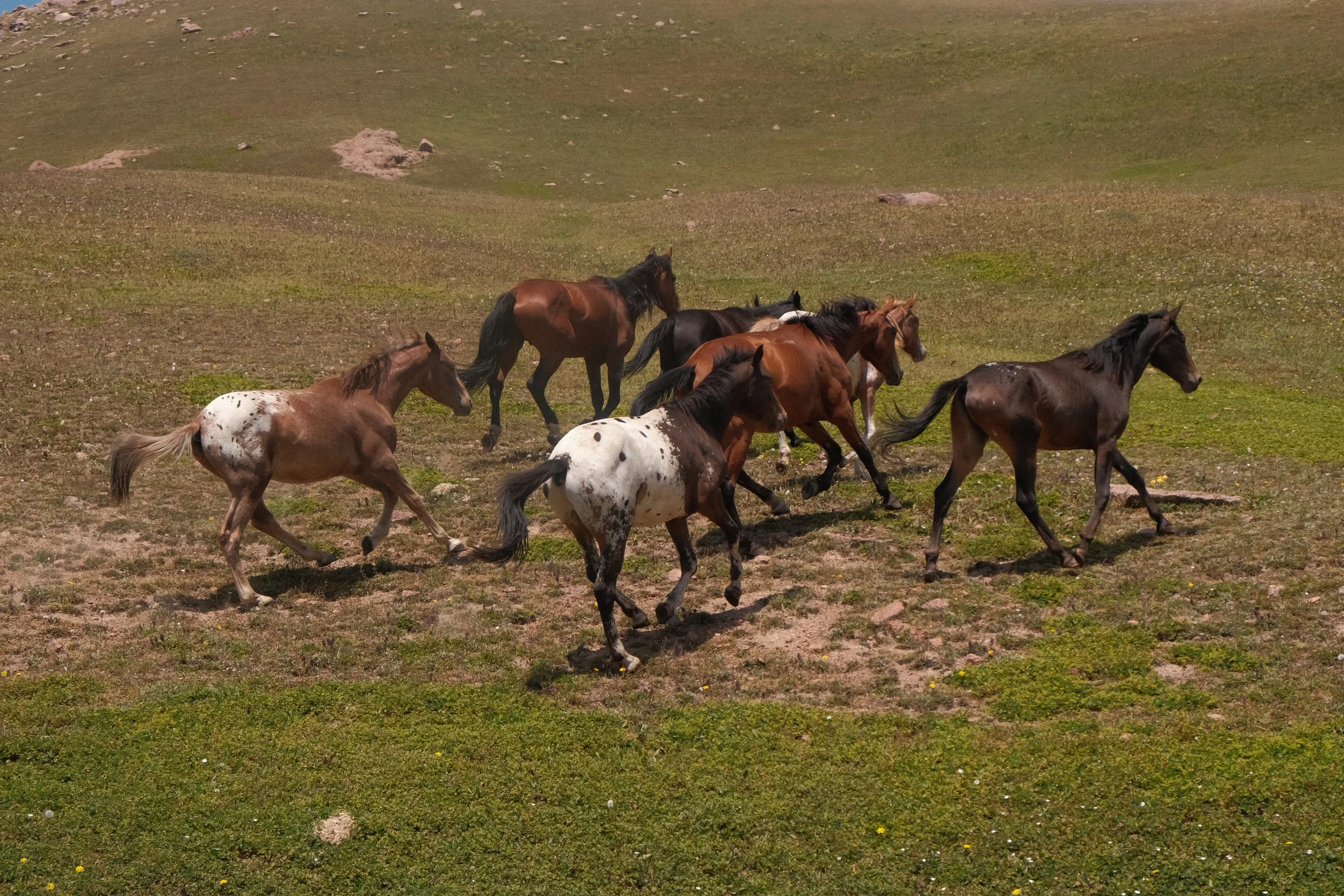 DSCF7963.jpg