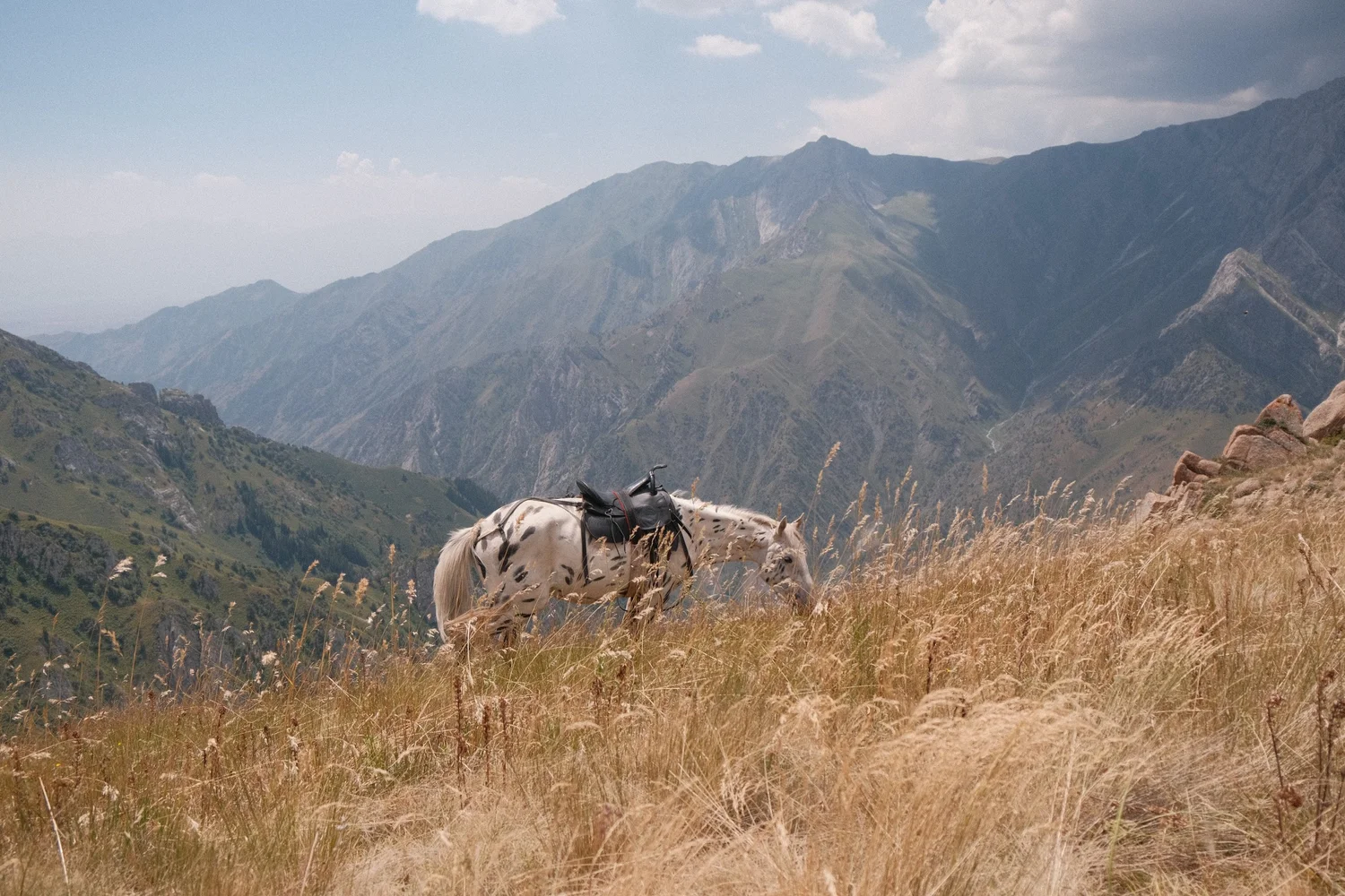 Riders on horseback crossing the high mountain pastures of Kyrgyzstan
