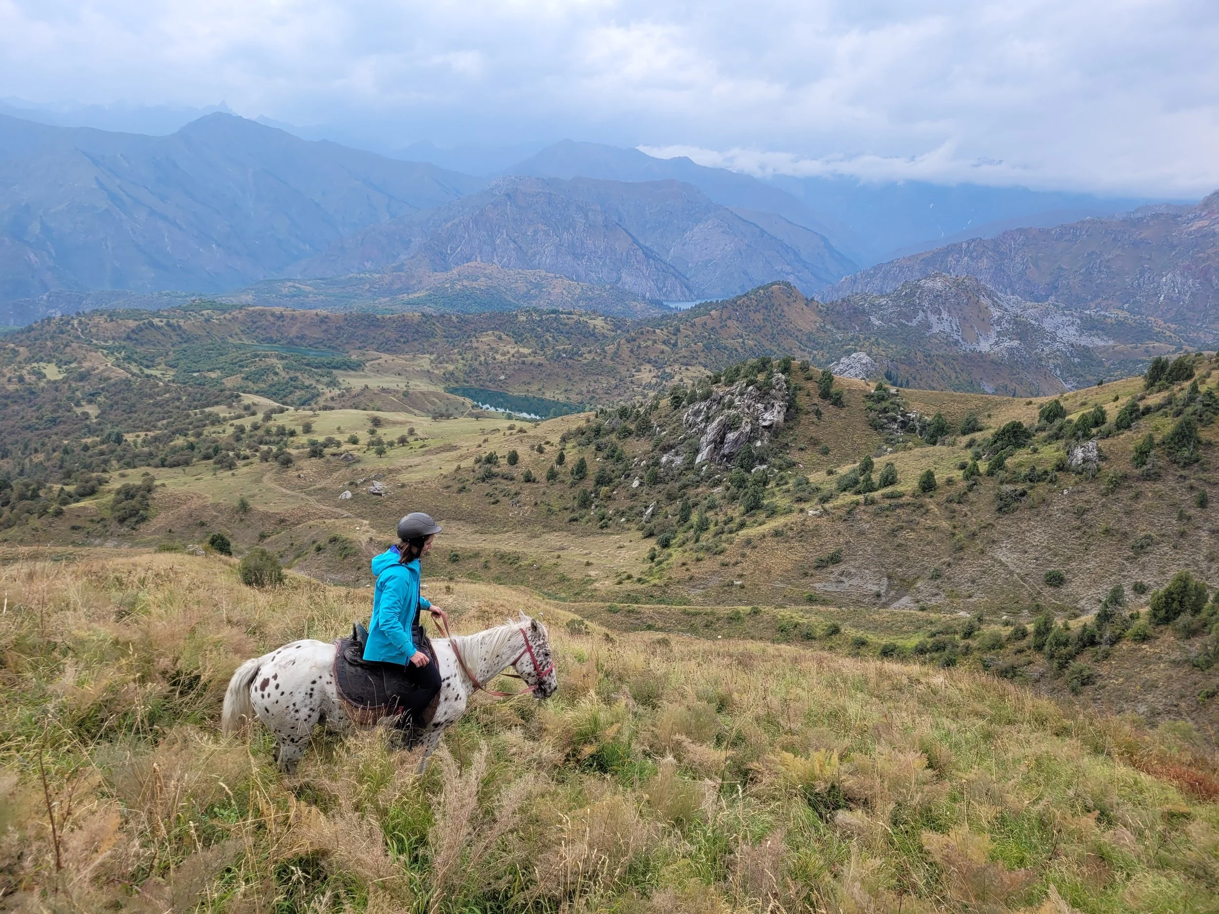 A rider on a spotted Chaar horse overlooking a river valley from a hilltop