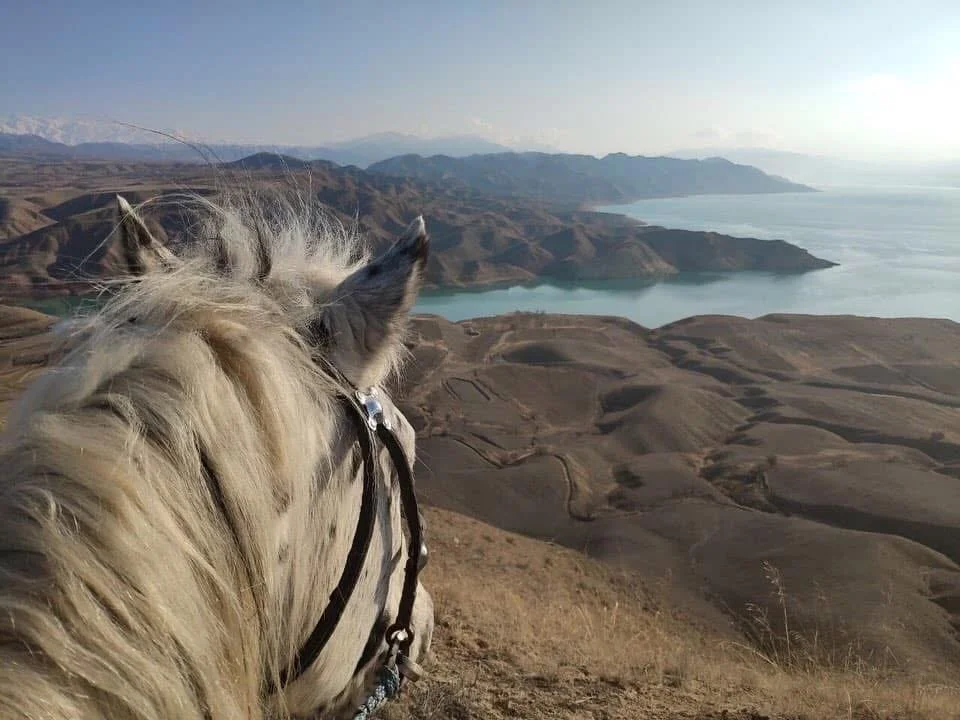 Vue par-dessus les oreilles d'un cheval vers un lac de montagne et une vallée
