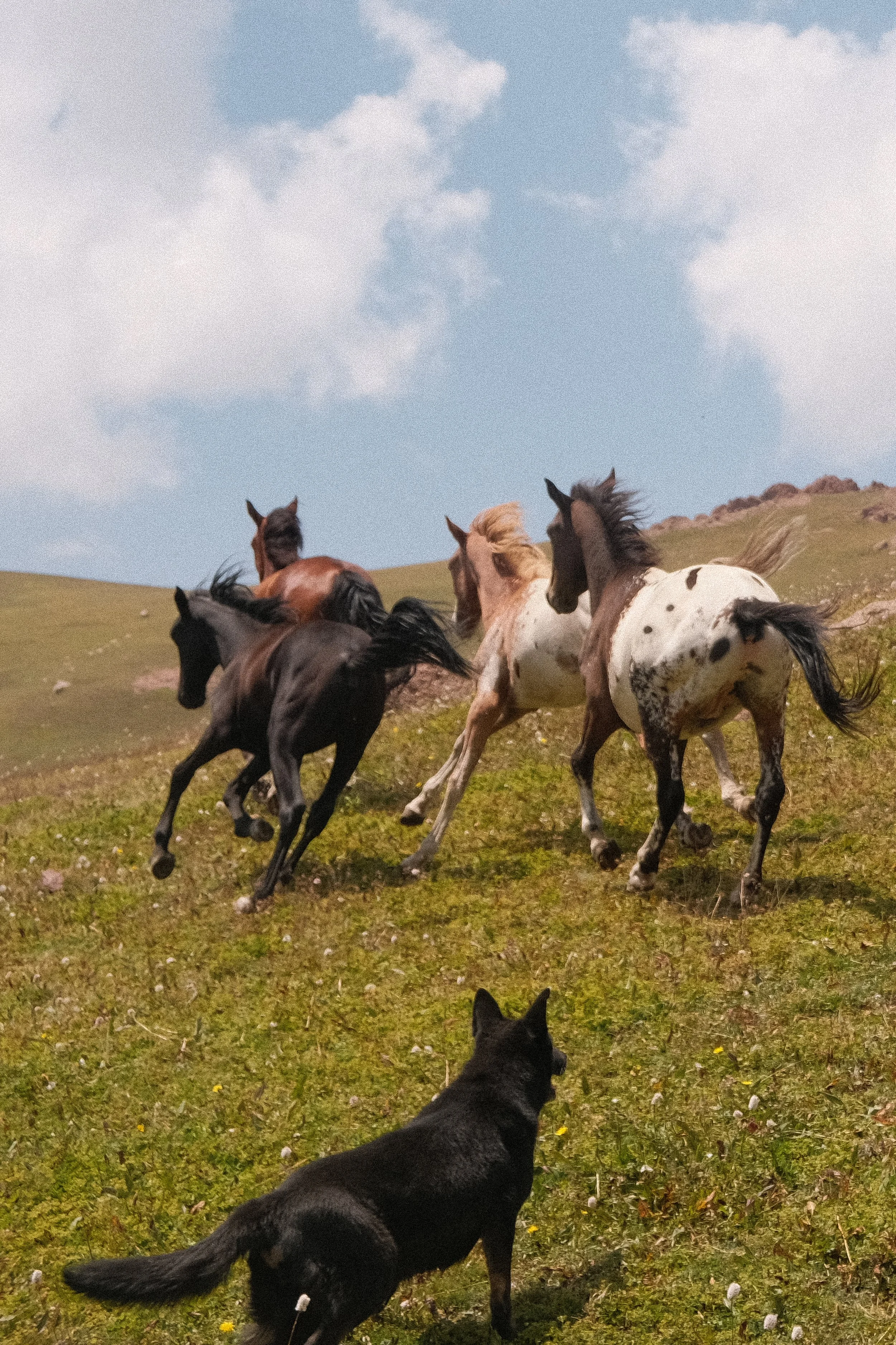 DSCF8136.jpg