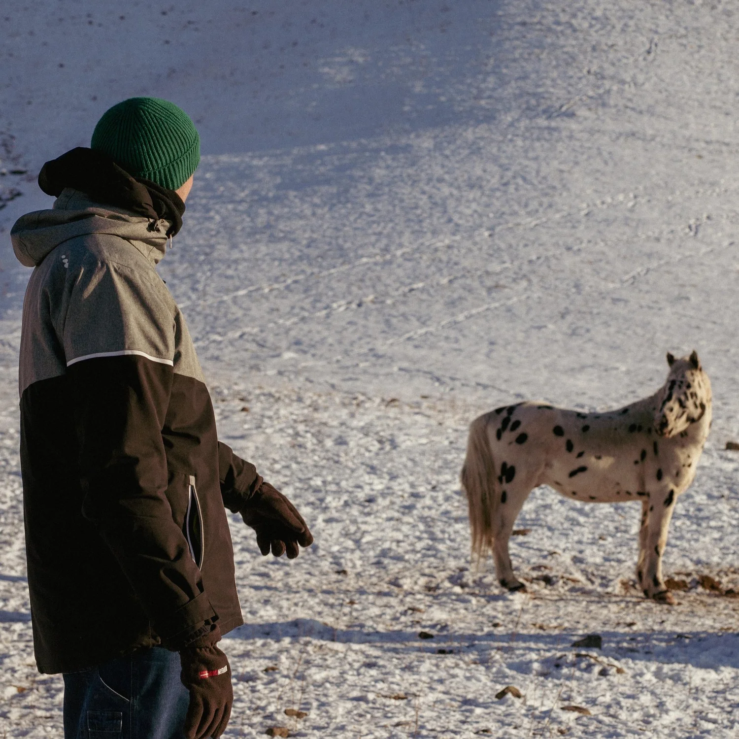 Léon with his horse in the snow during his winter at Chaar Ranch. Photo: Salomé Guilleme