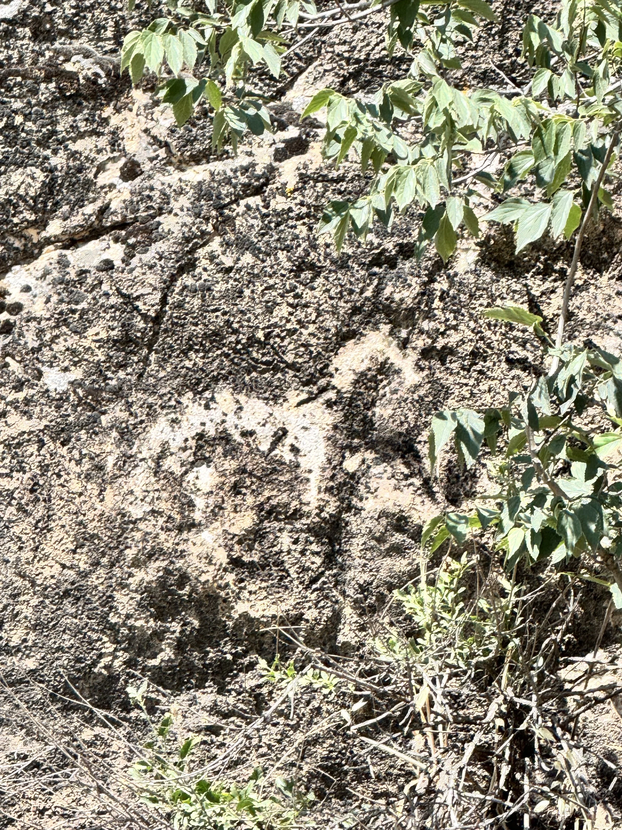Faint ancient carvings on a lichen-covered rock face
