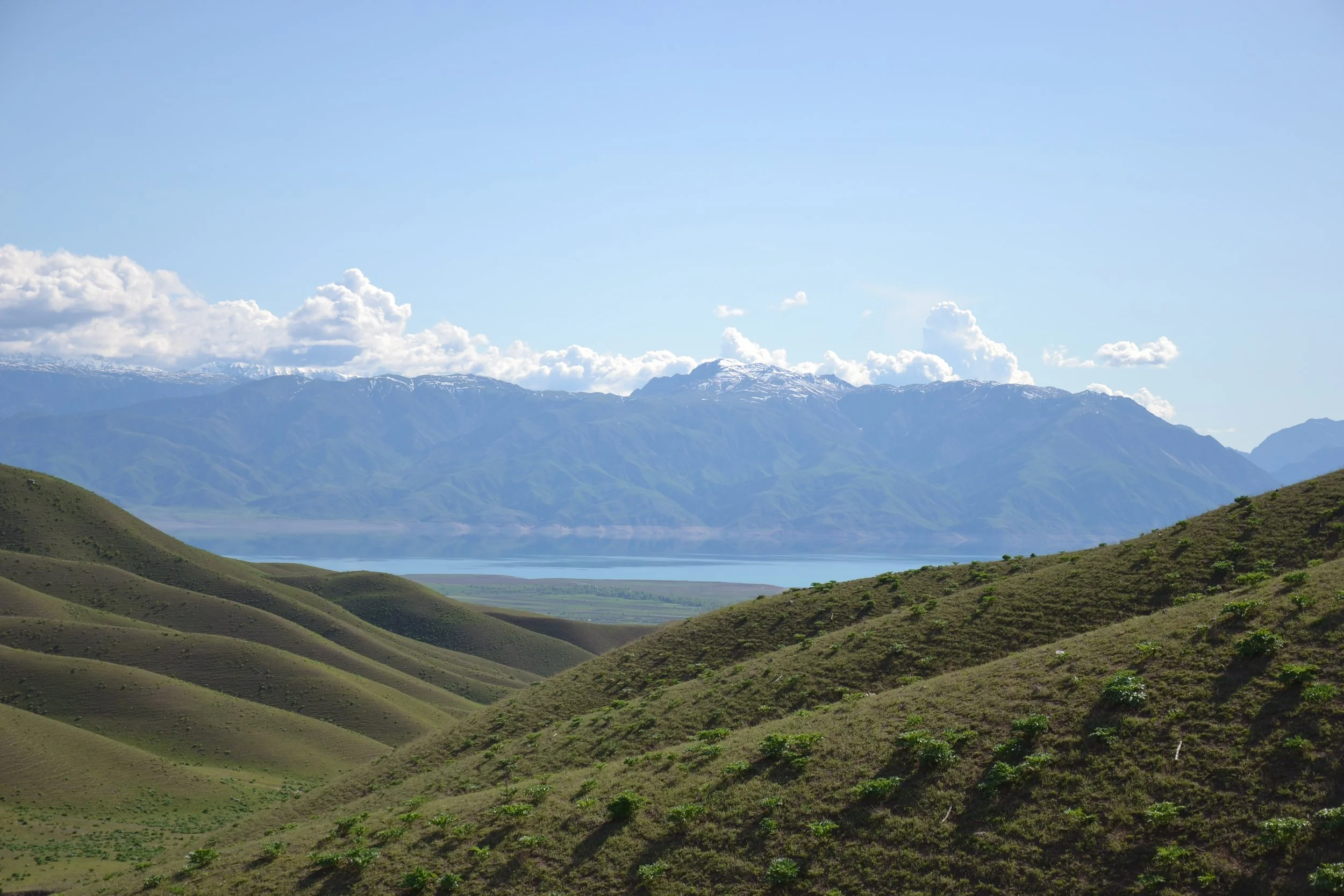 Collines verdoyantes surplombant le lac Toktogul au printemps