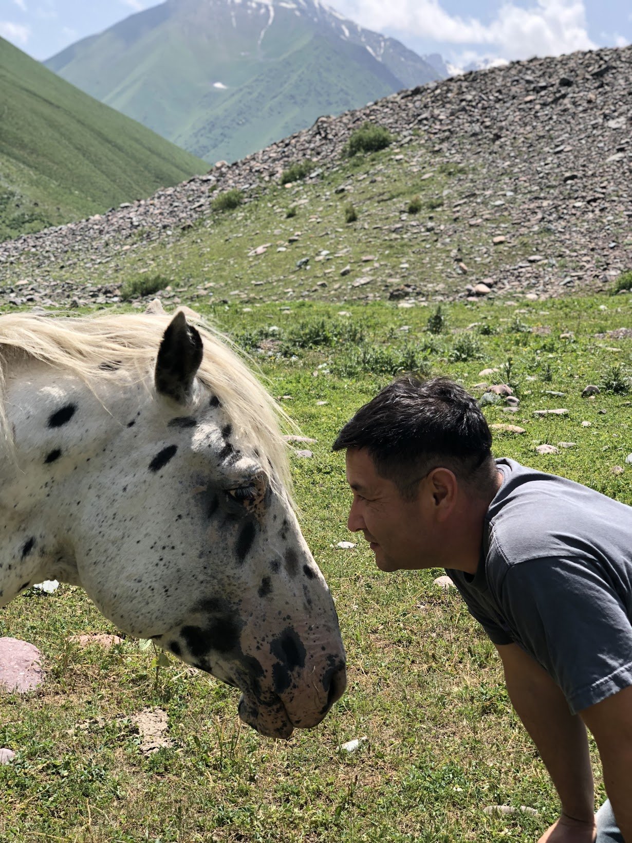 Un homme penché au-dessus d'un cheval Chaar tacheté dans les montagnes