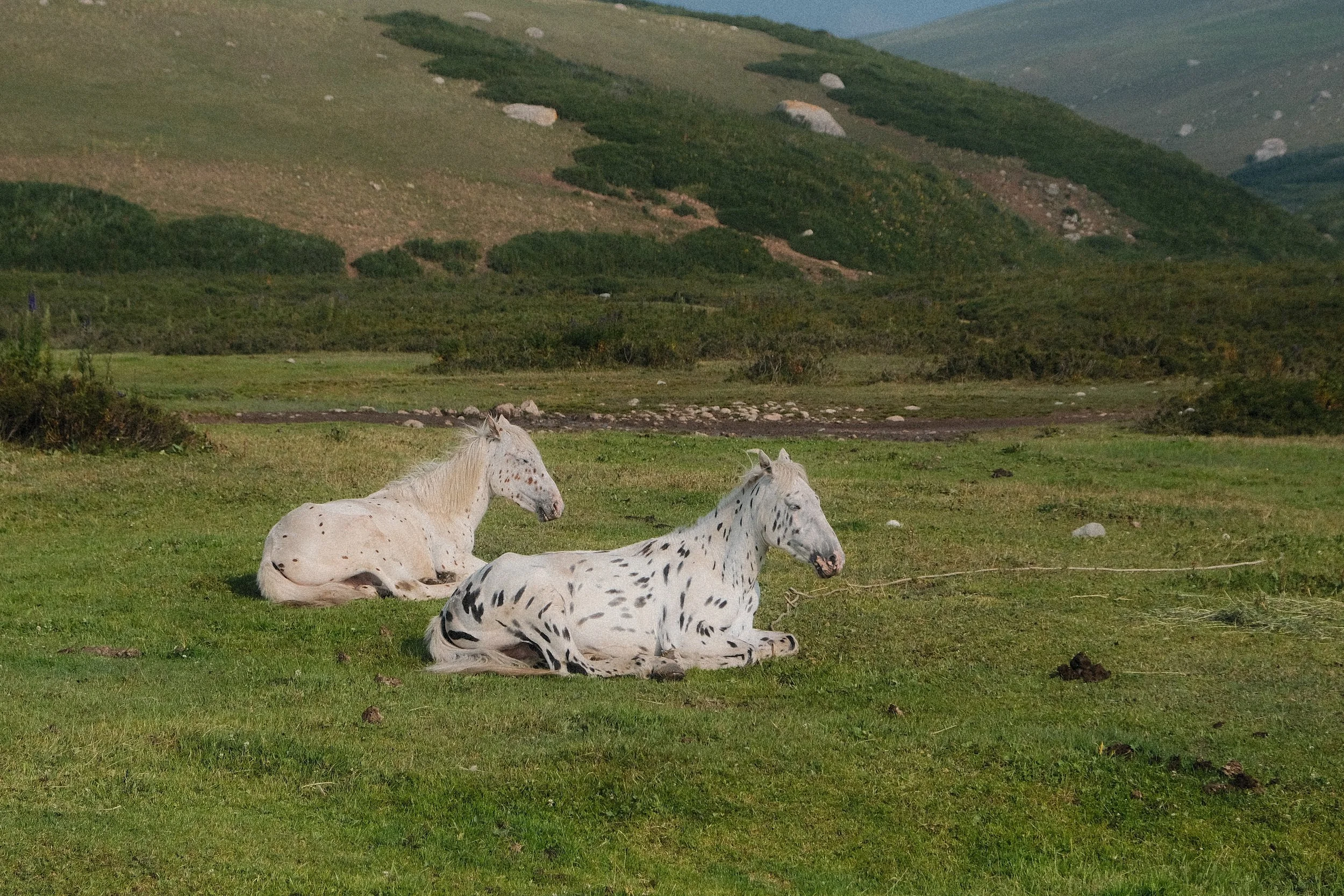 DSCF7174.jpg