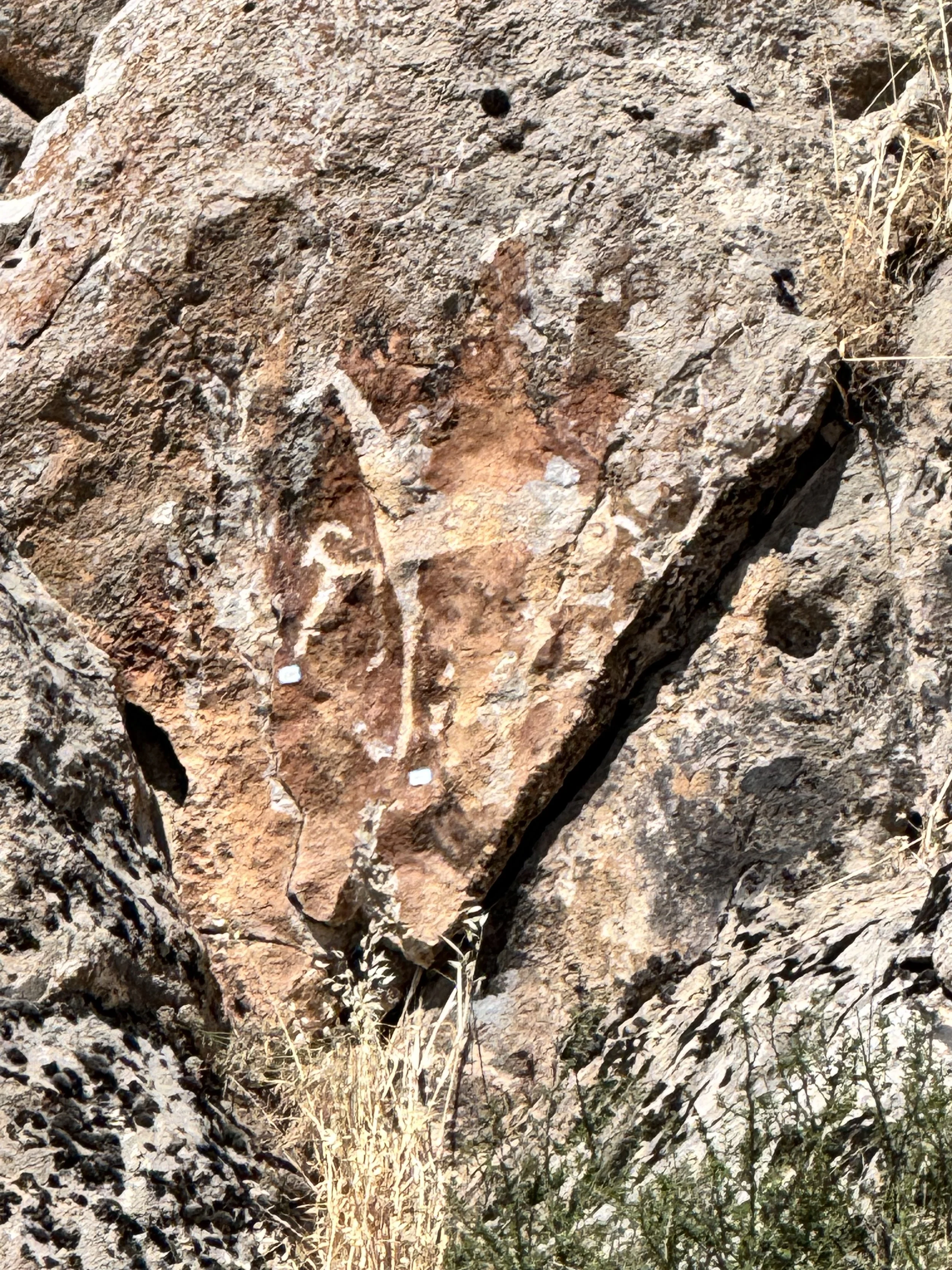A faint ancient animal carving on weathered orange rock