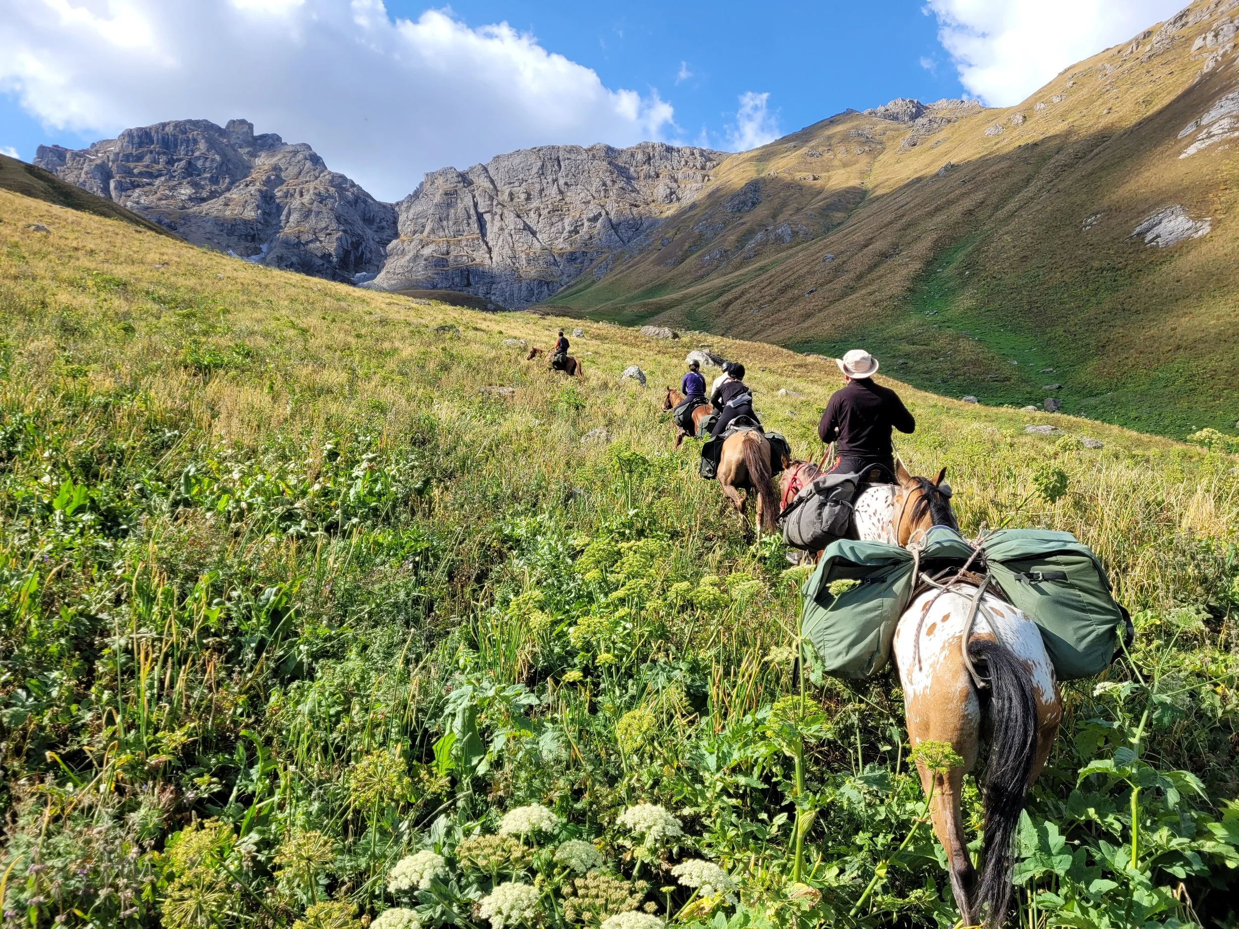 Riders leading pack horses through a green valley toward rocky peaks