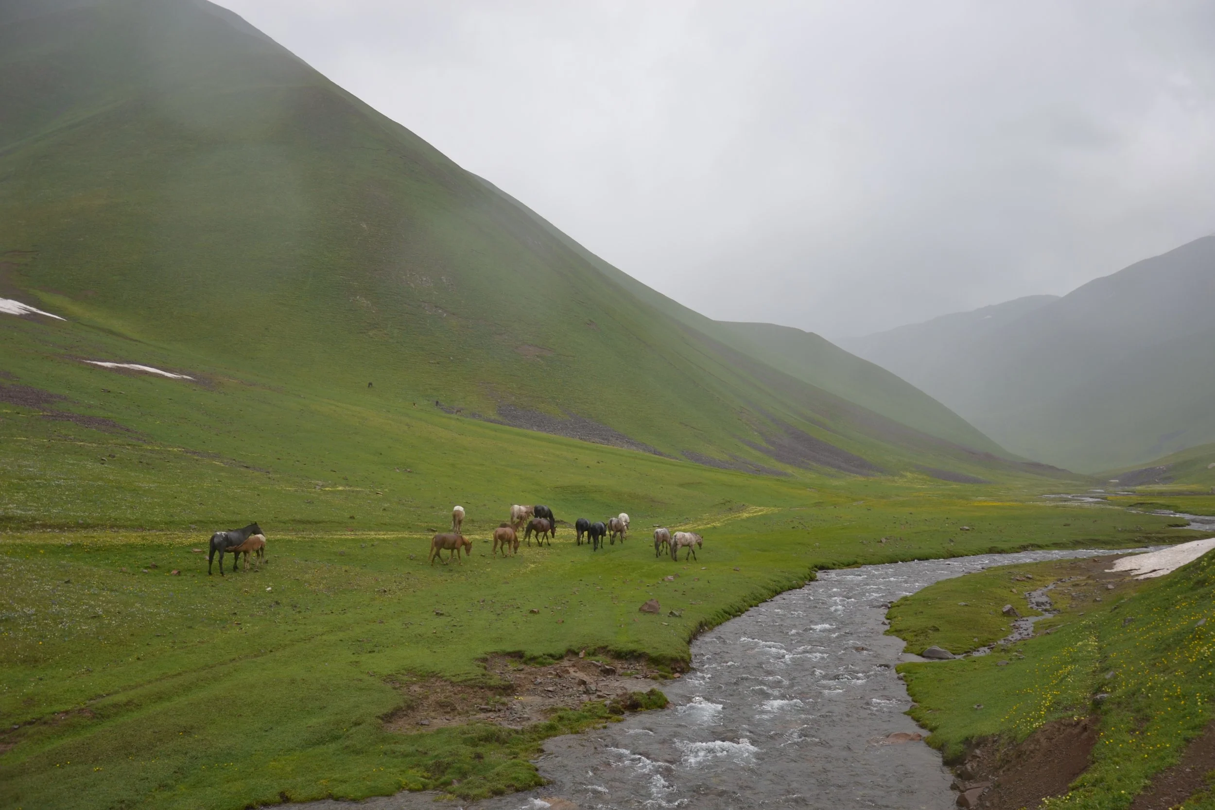 Horses grazing in a misty green valley beside a stream