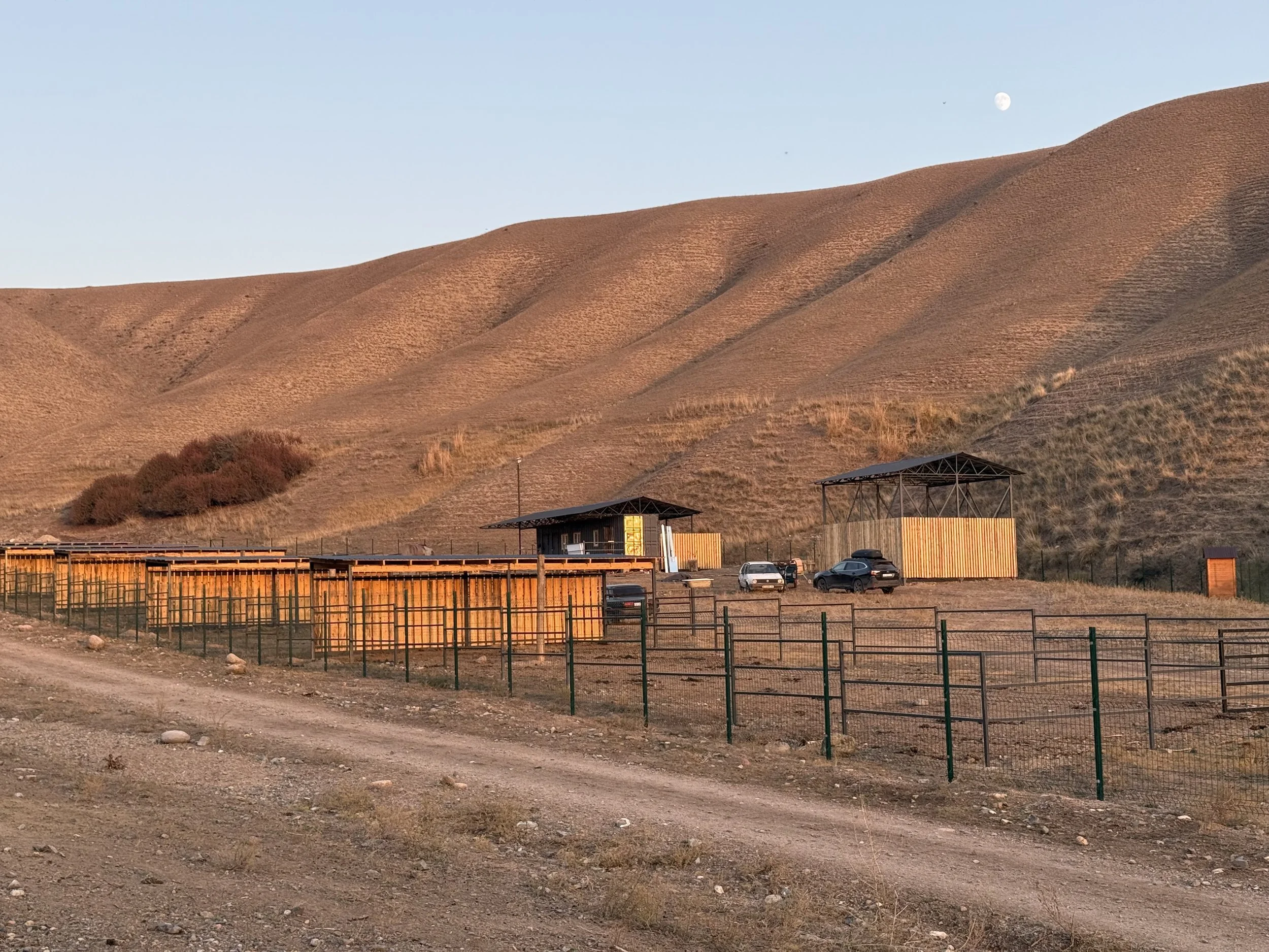 Wooden livestock pens and sheds along a dirt road at dusk