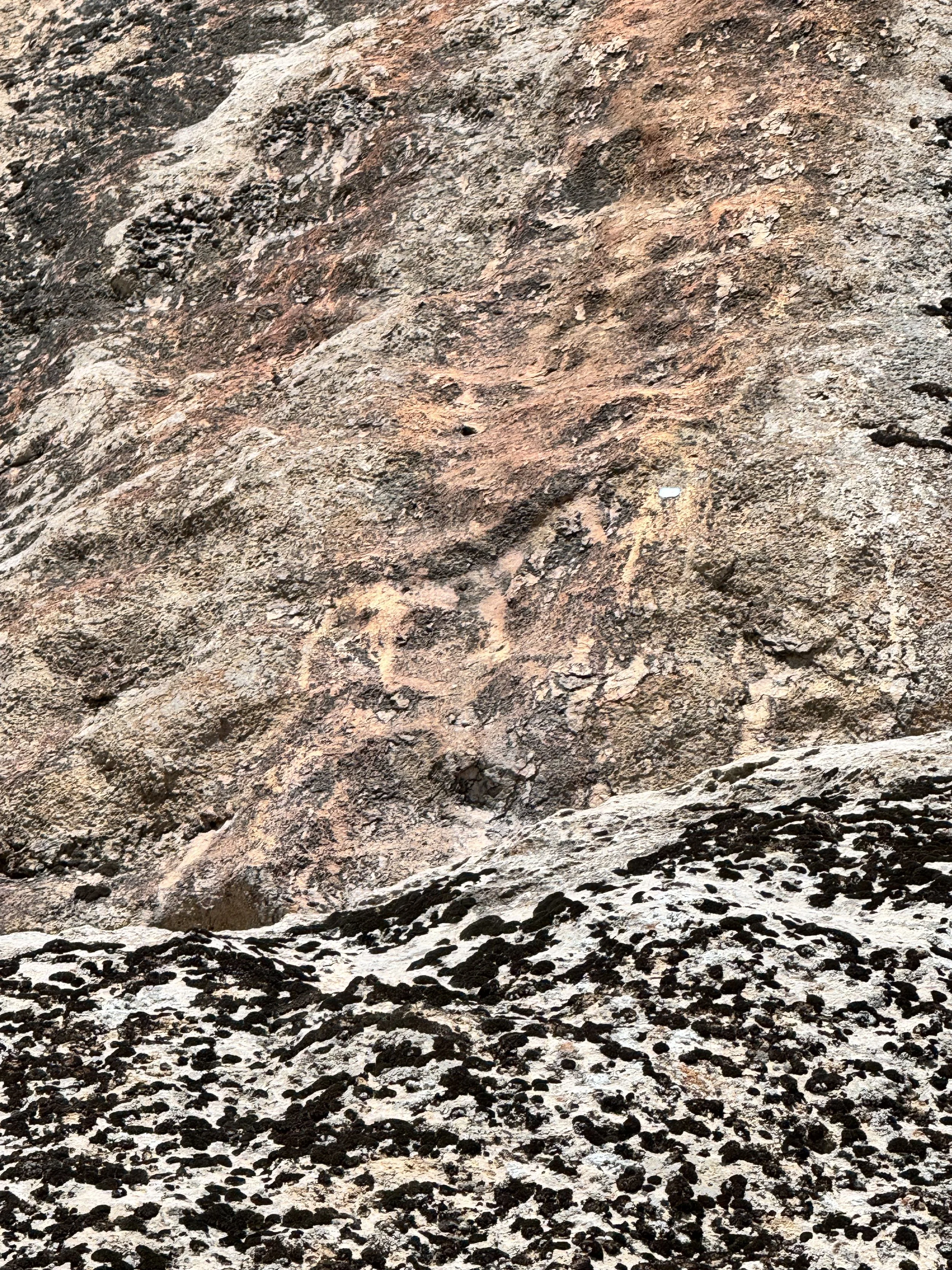 Faint ancient carvings of animals on a weathered rock slope