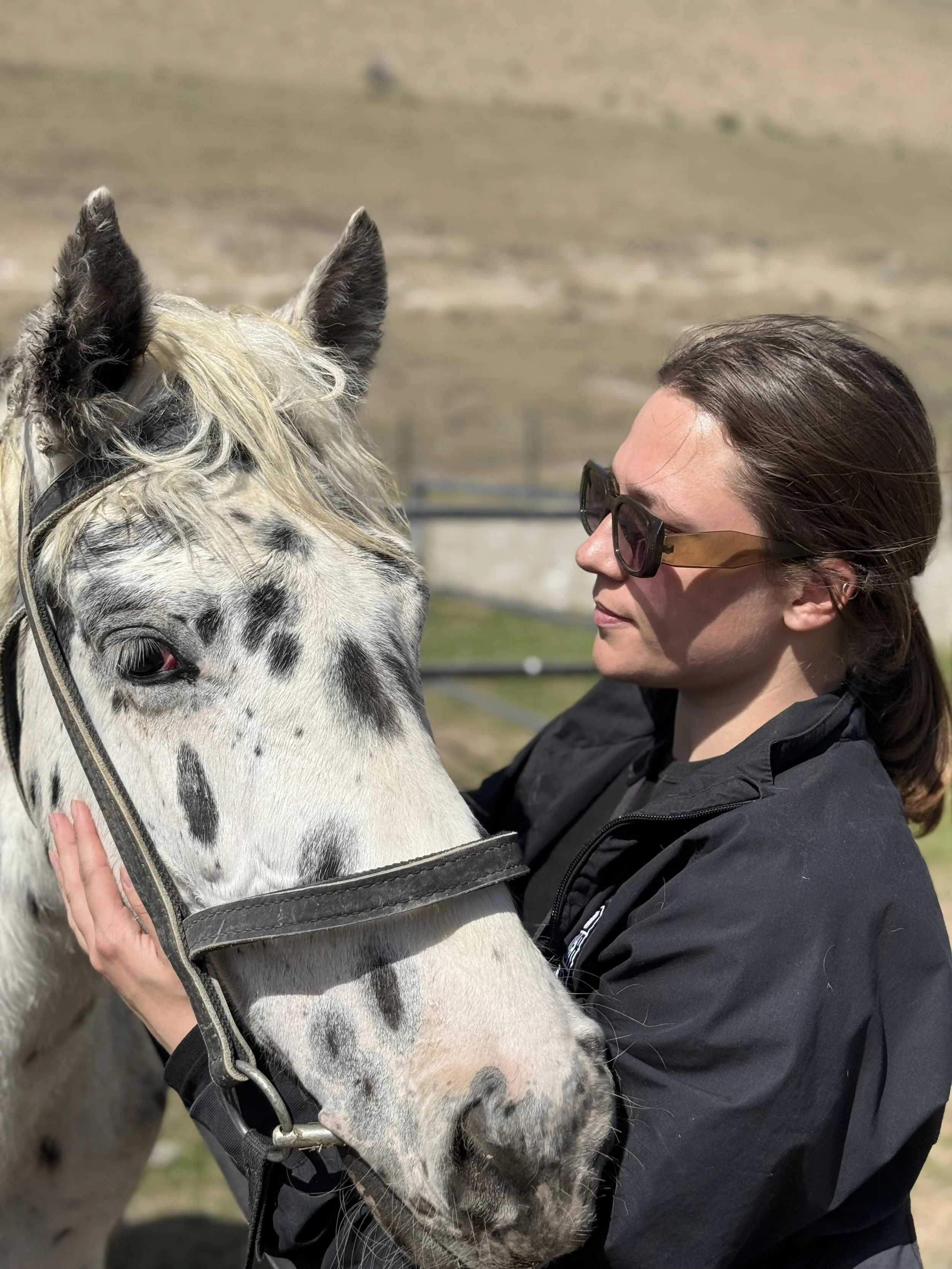 A woman in sunglasses gently holds the face of a spotted Chaar horse