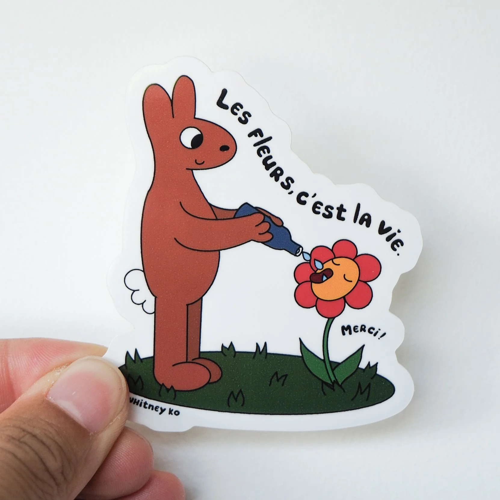 photo stickers lapin et fleur.jpg