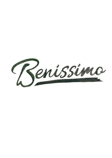 Benissimo Logo 2new.jpeg
