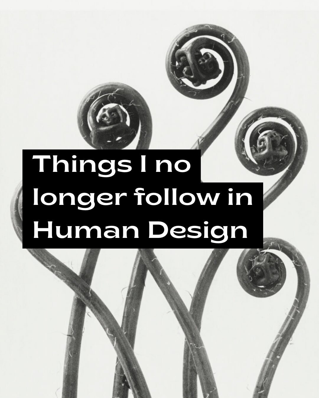 There are many pieces of human design I no longer believe in. When I went through an existential crisis with this system, I questioned everything. I told myself to pretend none of it was true&hellip; to go about my life without filtering everything t