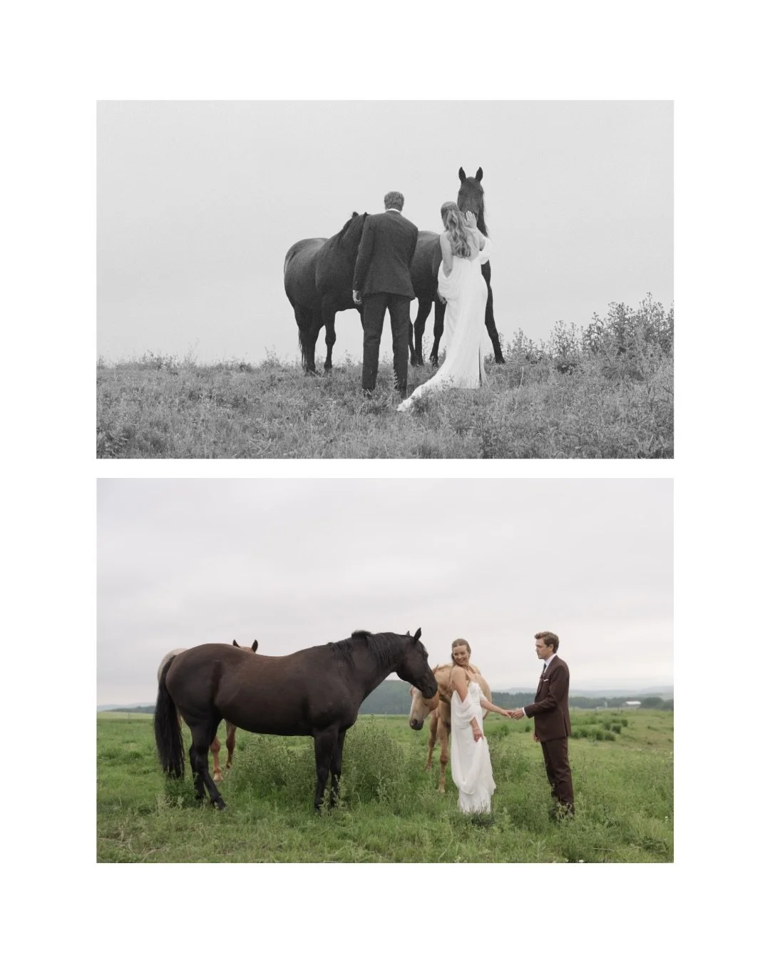 An Ouma gown is beauty, artistry, strength, and delight woven together.

Photography by the talented @jackiekalch

  #OumaBride #OumaBridal #BlushAndRavenYYC
