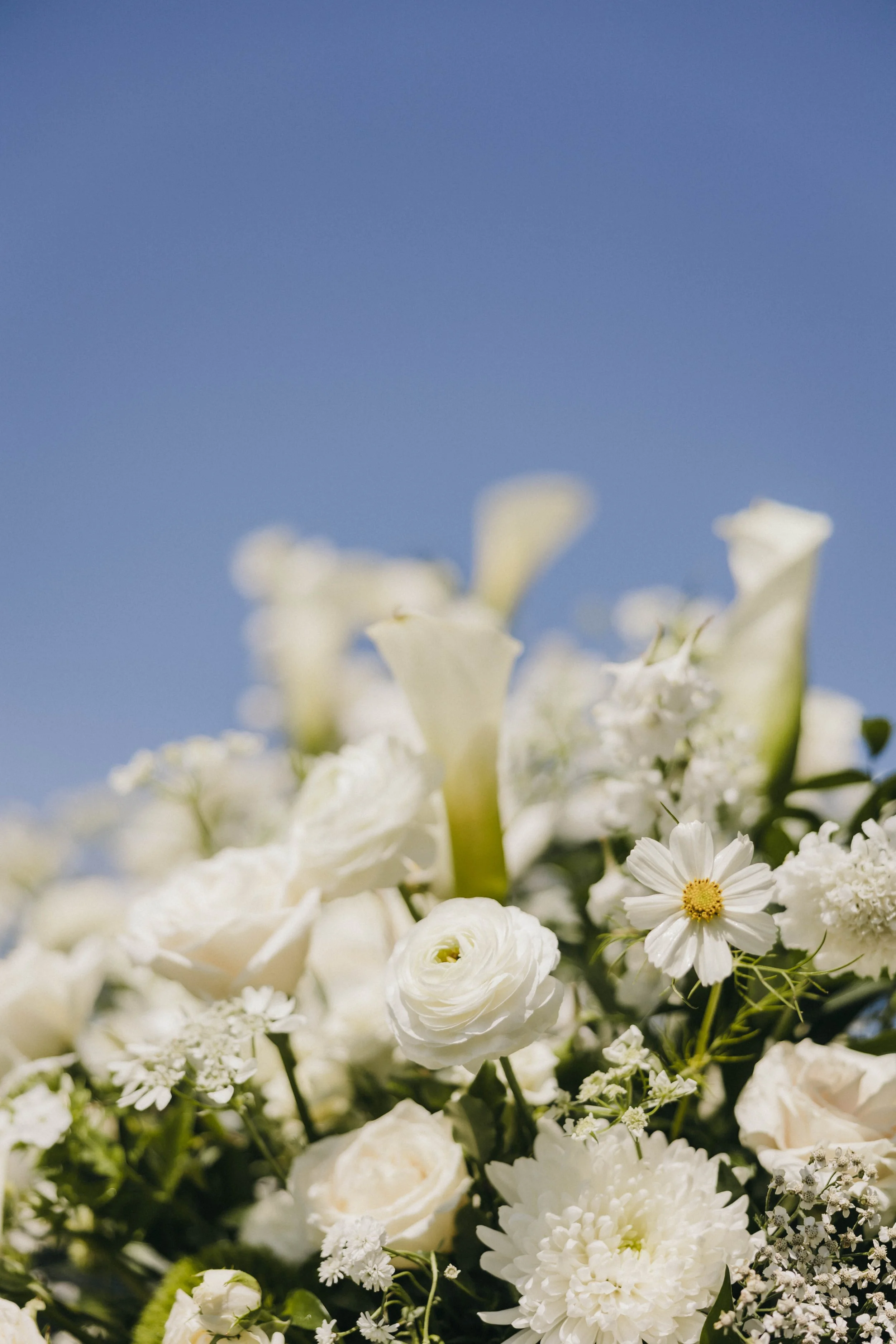 kadiehummelphotography-380.jpg