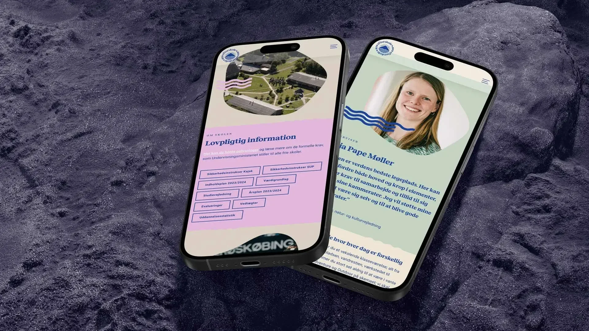 webdesign efterskole