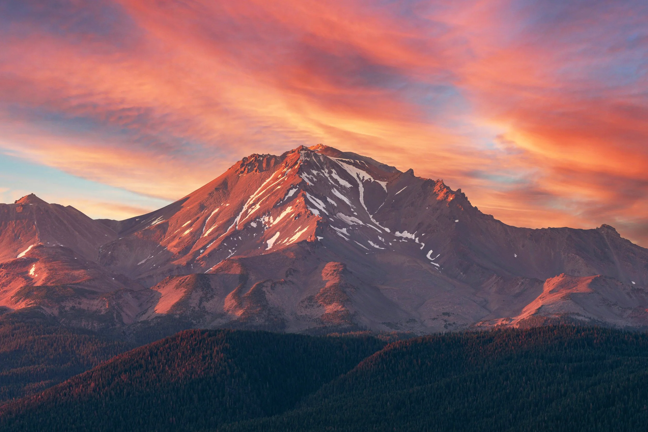 shastacover2 copy.jpg