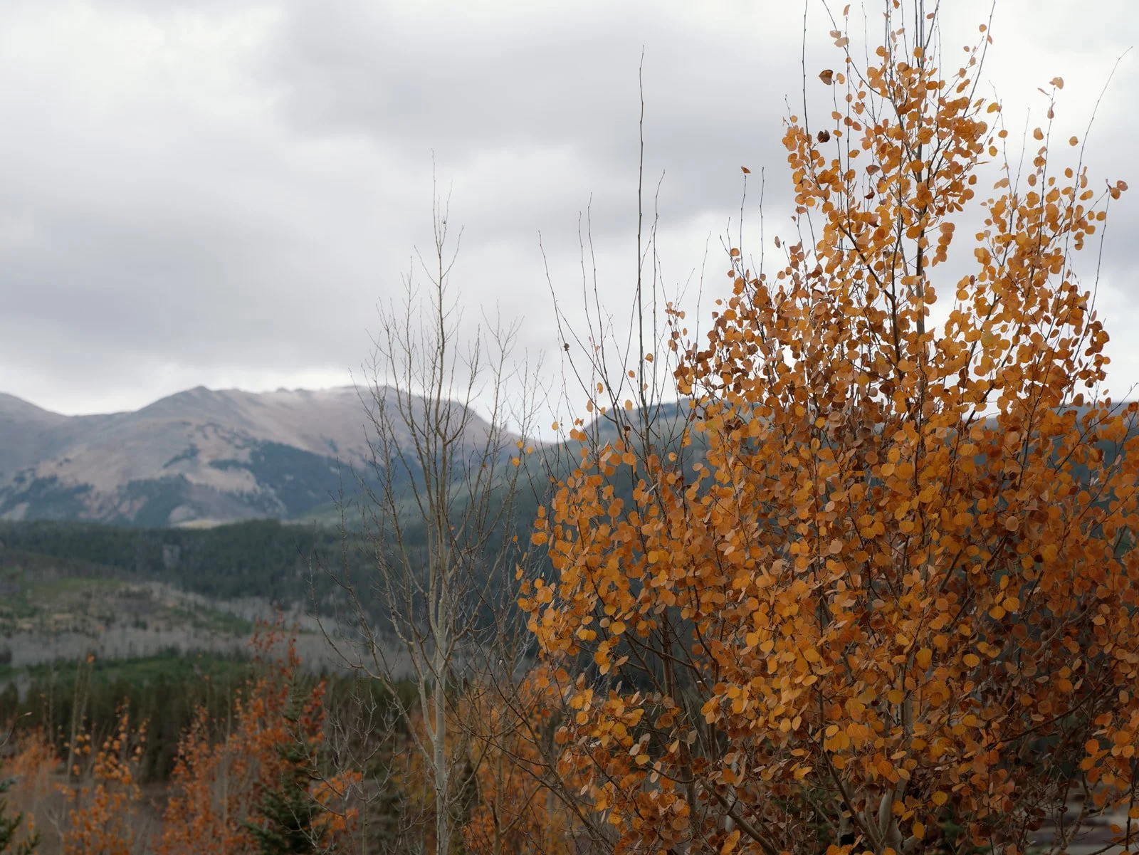 Devils Thumb Ranch wedding 