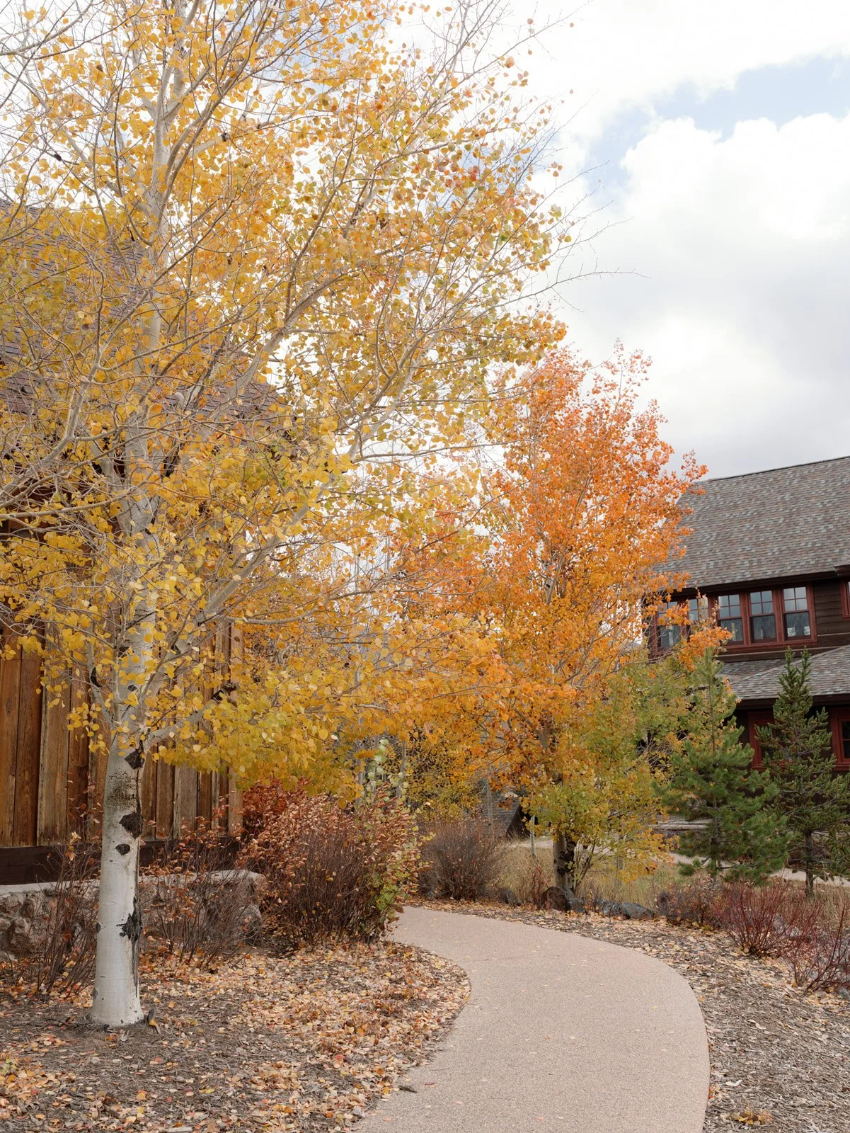 Devils Thumb Ranch wedding 