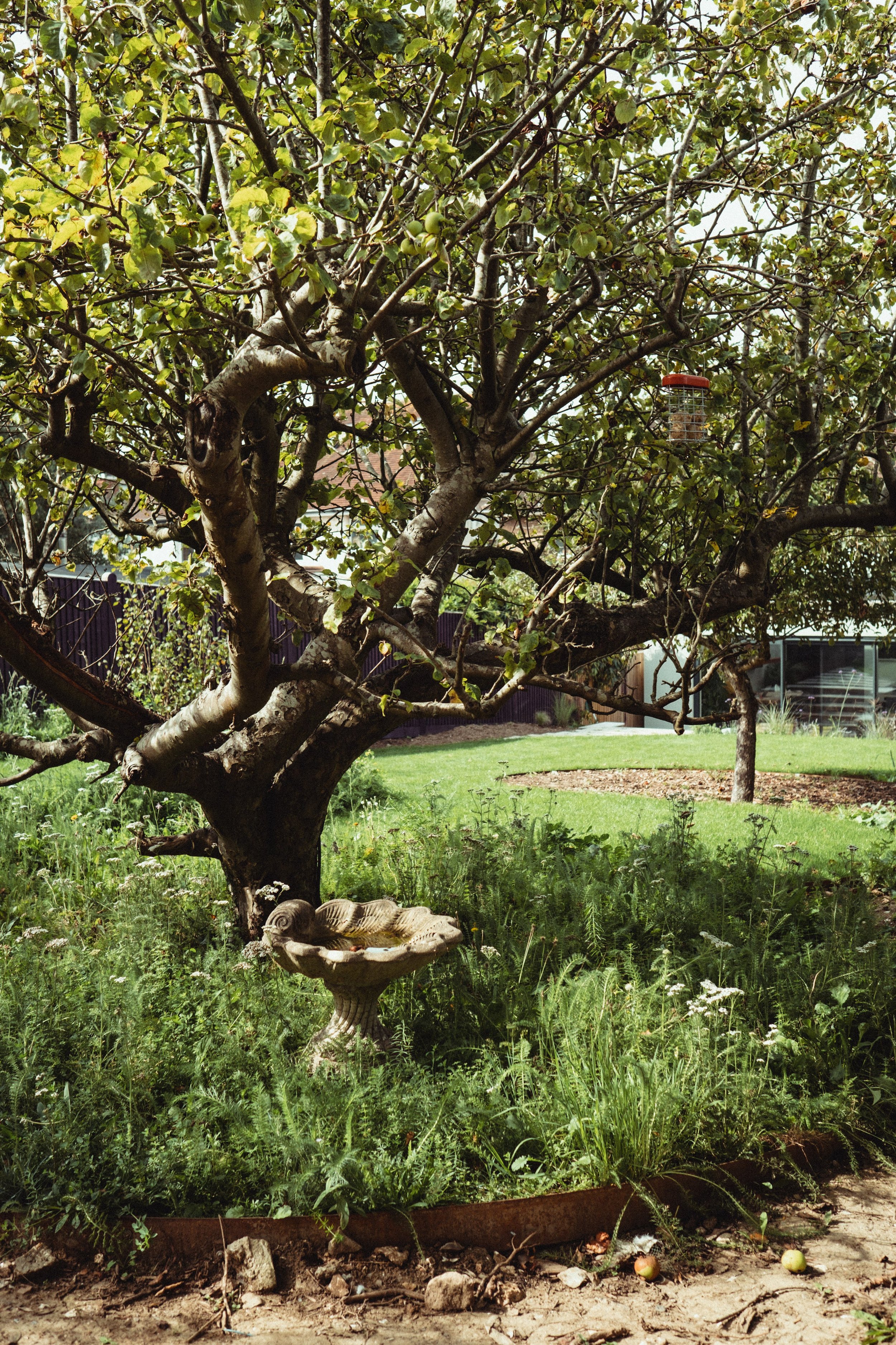 SHHR01-6.jpg