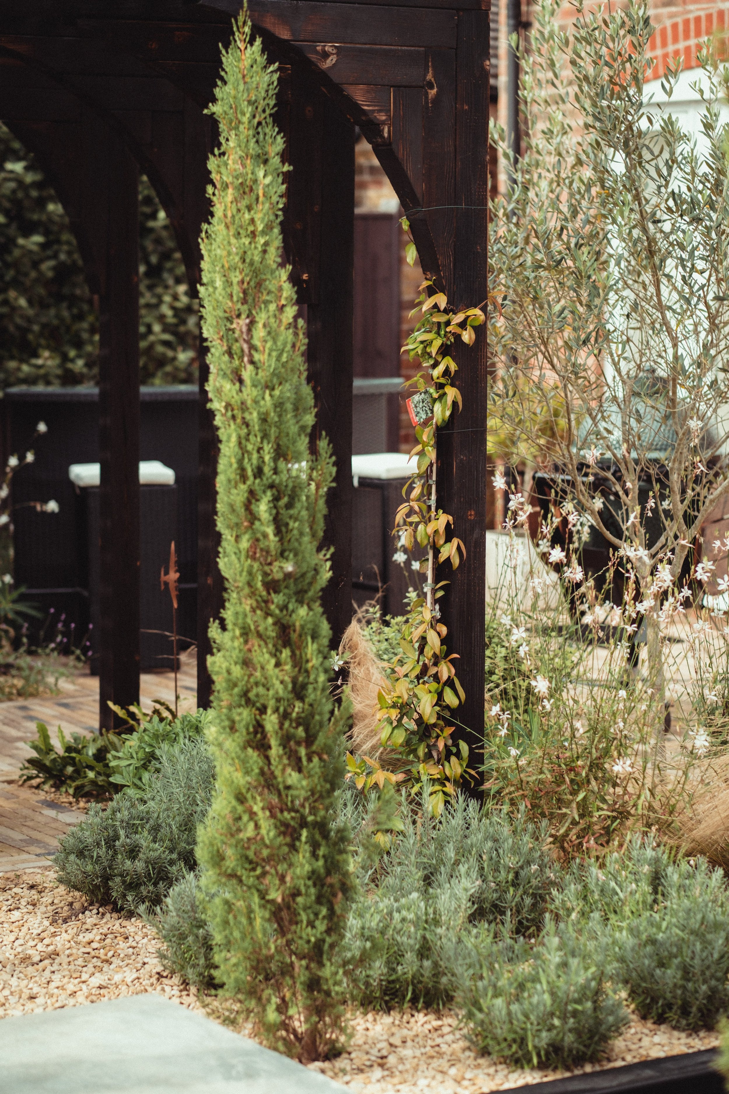 MHHR01-4.jpg