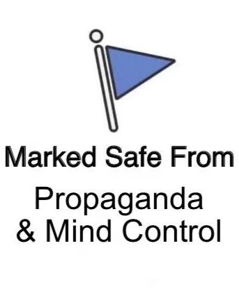 IMG_8385.png
