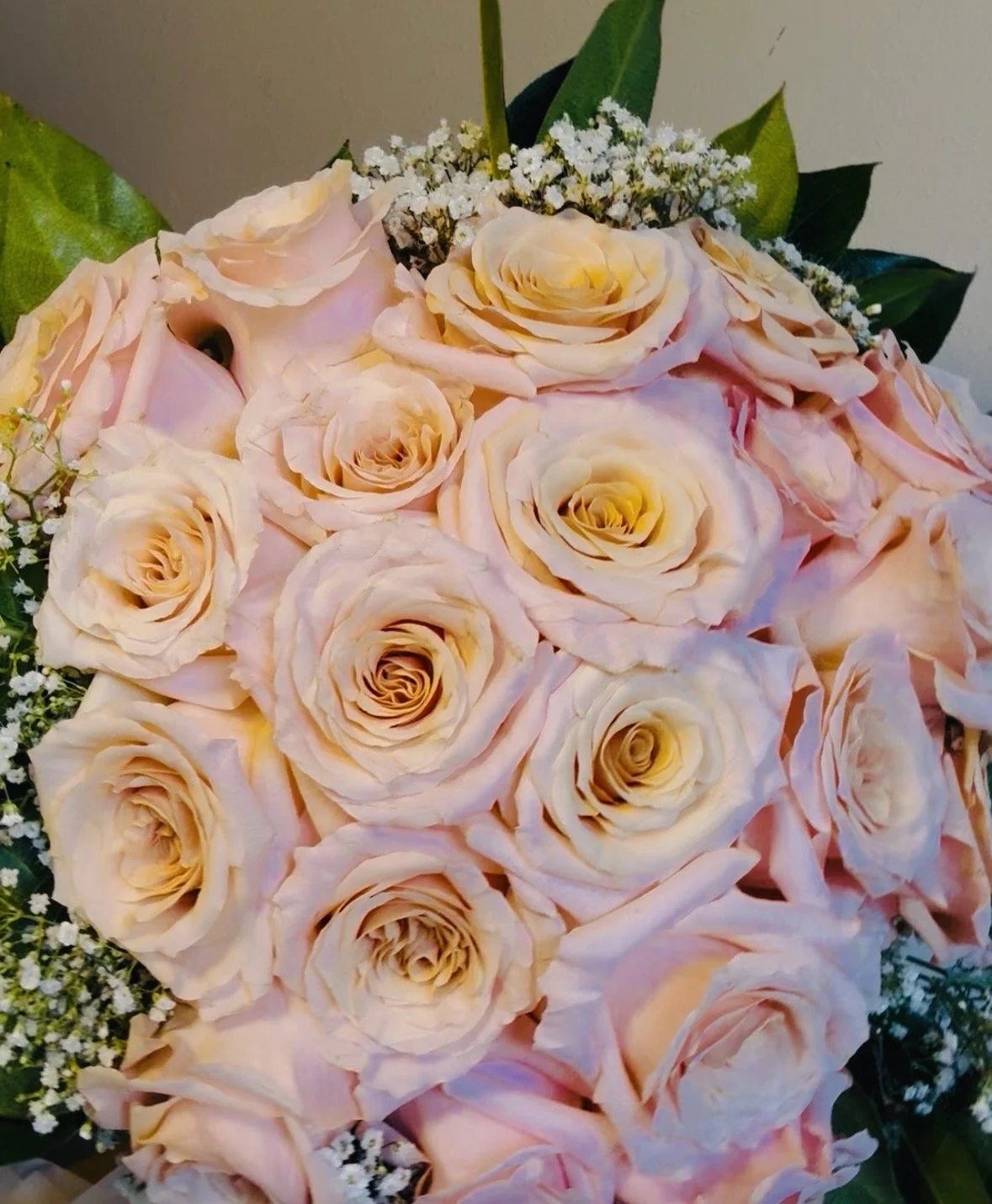2 dozen Premium Roses Loose Wrap
