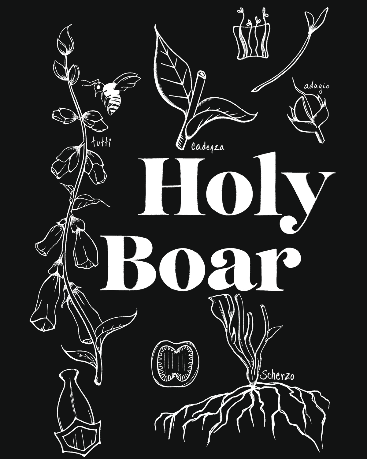 Holy Boar performance