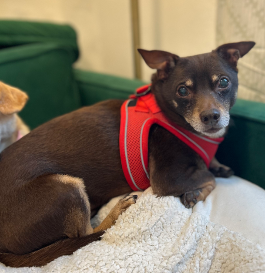 Archie bonded with Edith