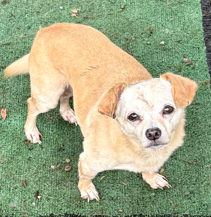 Edith bonded with Archie