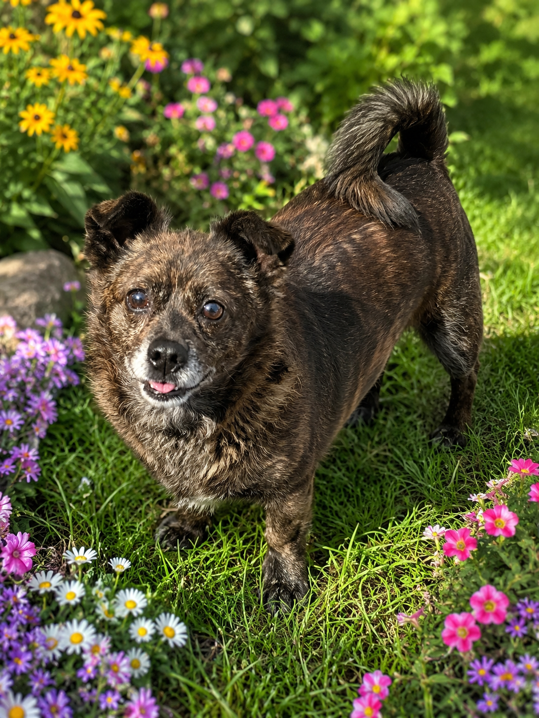 Beans