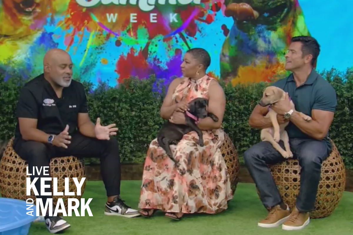 Live with Kelly & Mark.png