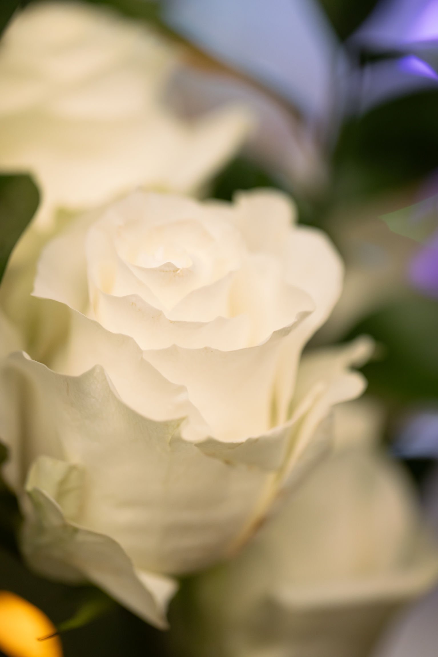 ACRS_Dinner-11.jpg
